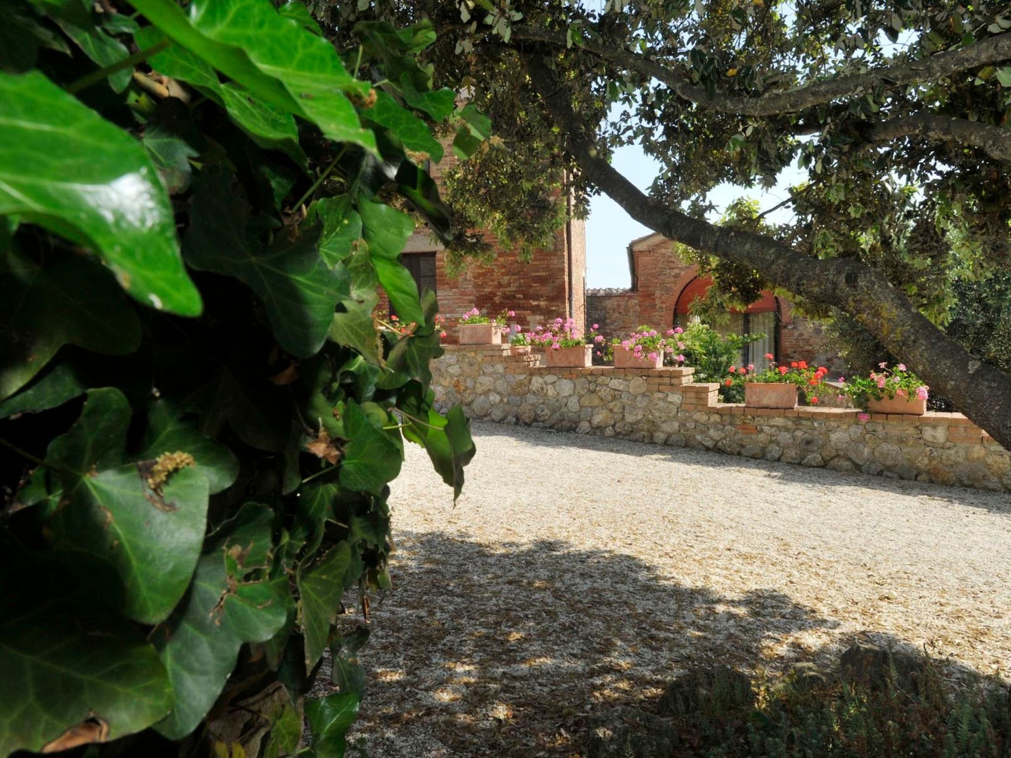 Photo of Agriturismo podere il moro