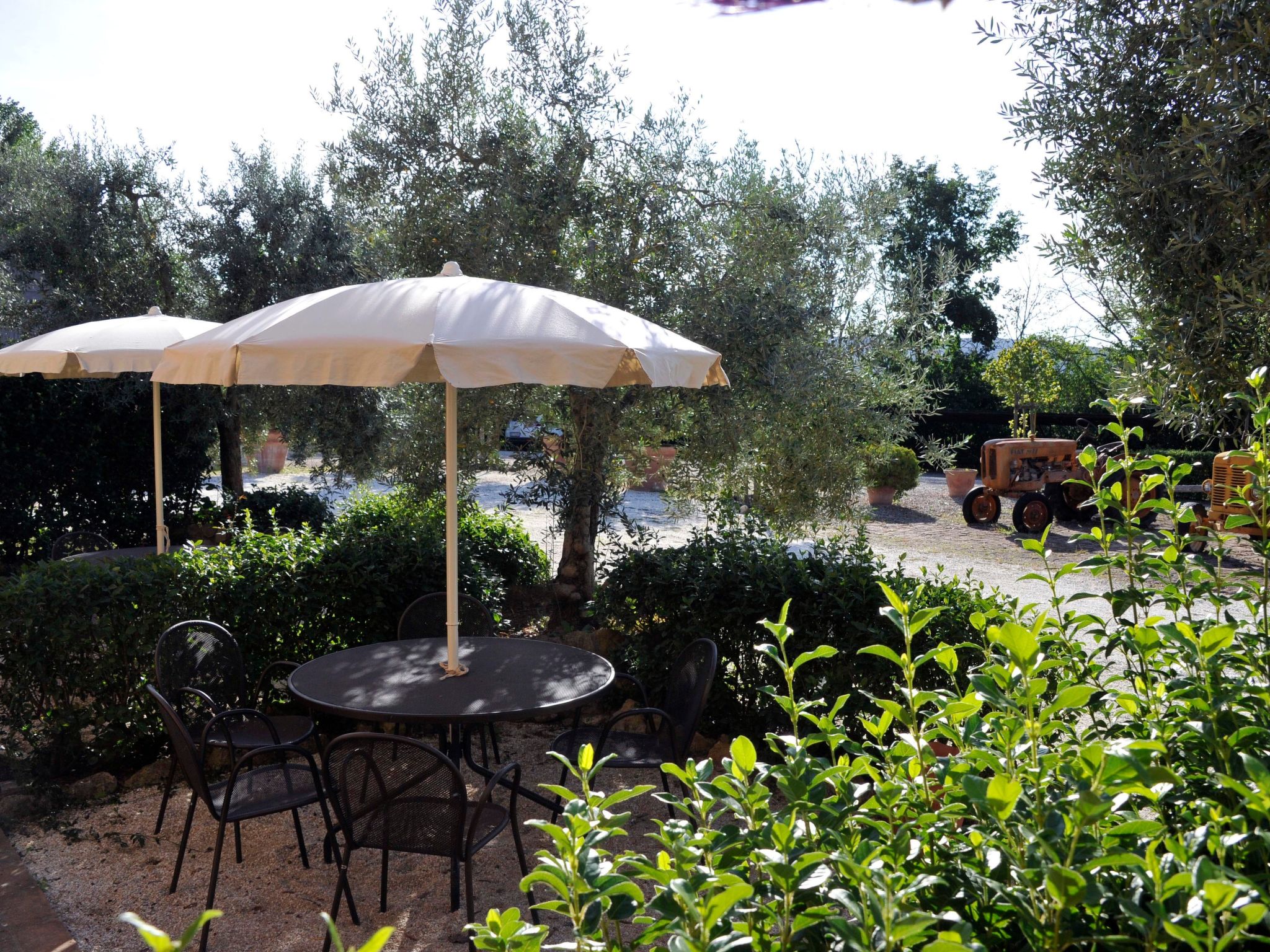 Photo of Agriturismo podere il moro