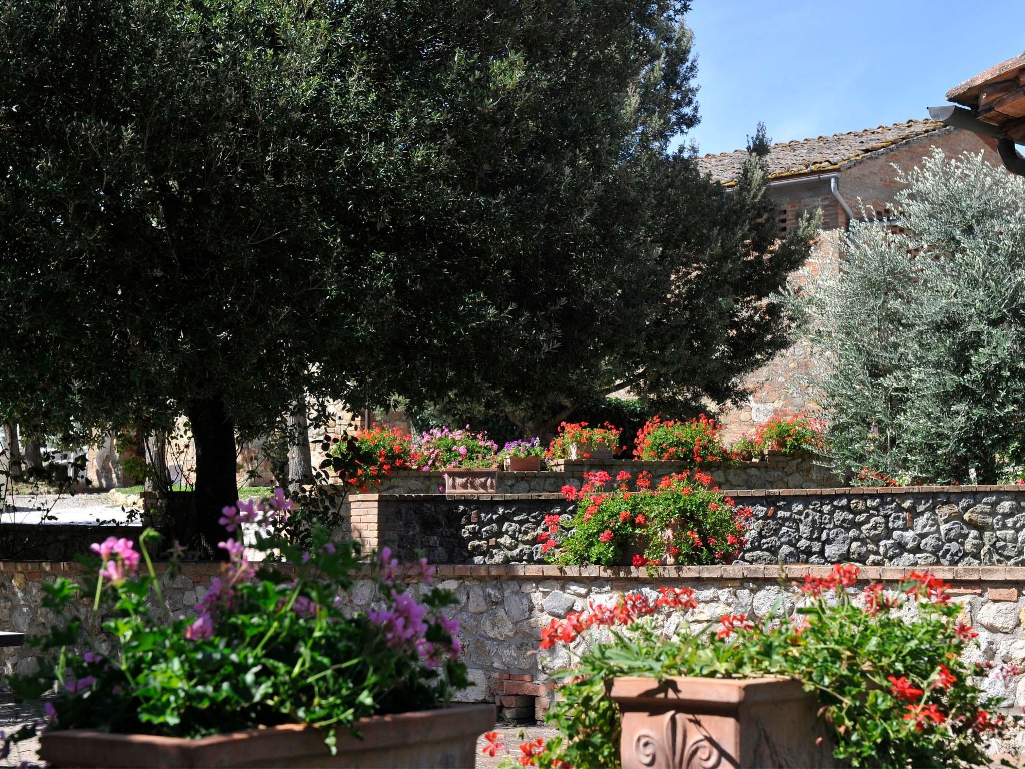 Photo of Agriturismo podere il moro