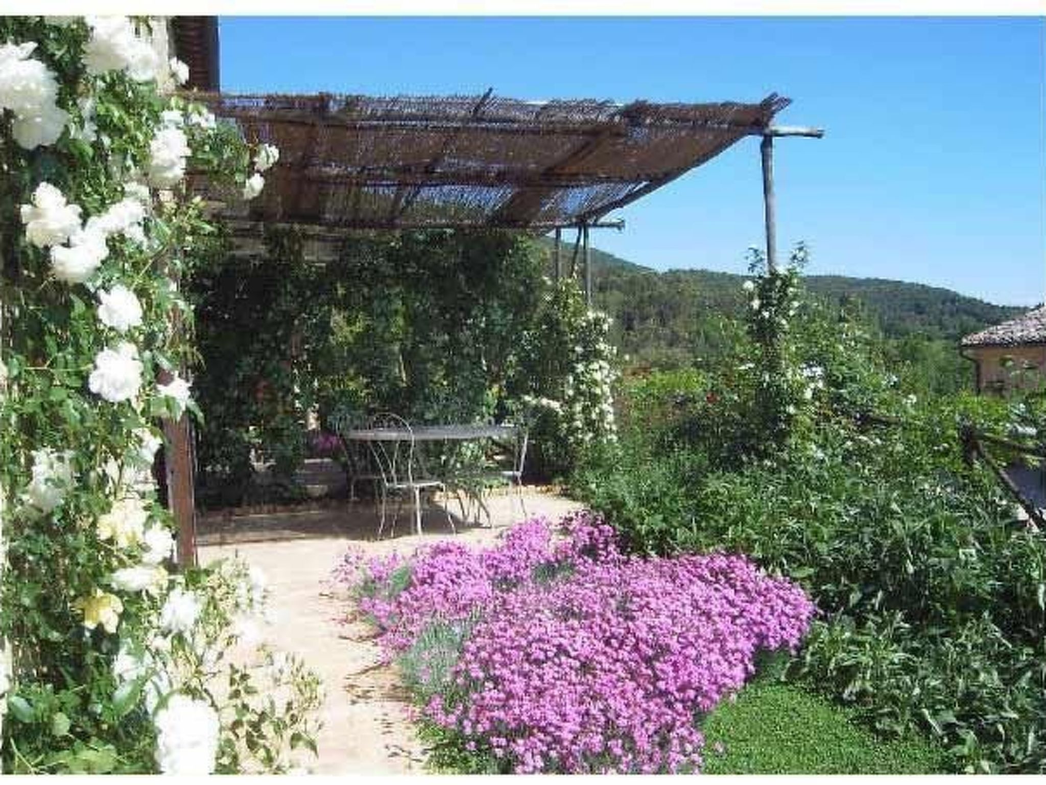 Photo of Gartenrotschwanzmascie