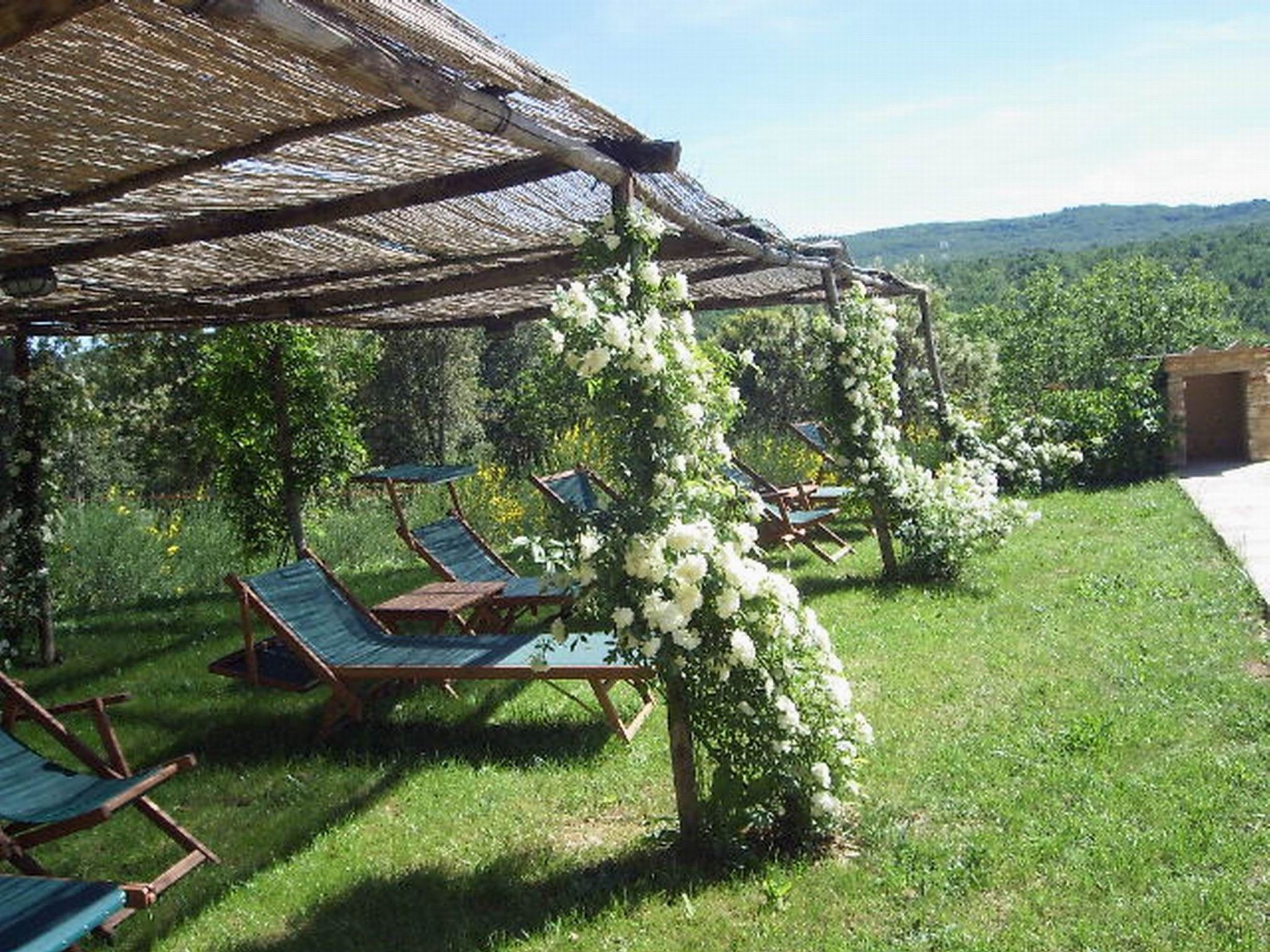 Photo of Gartenrotschwanzmascie