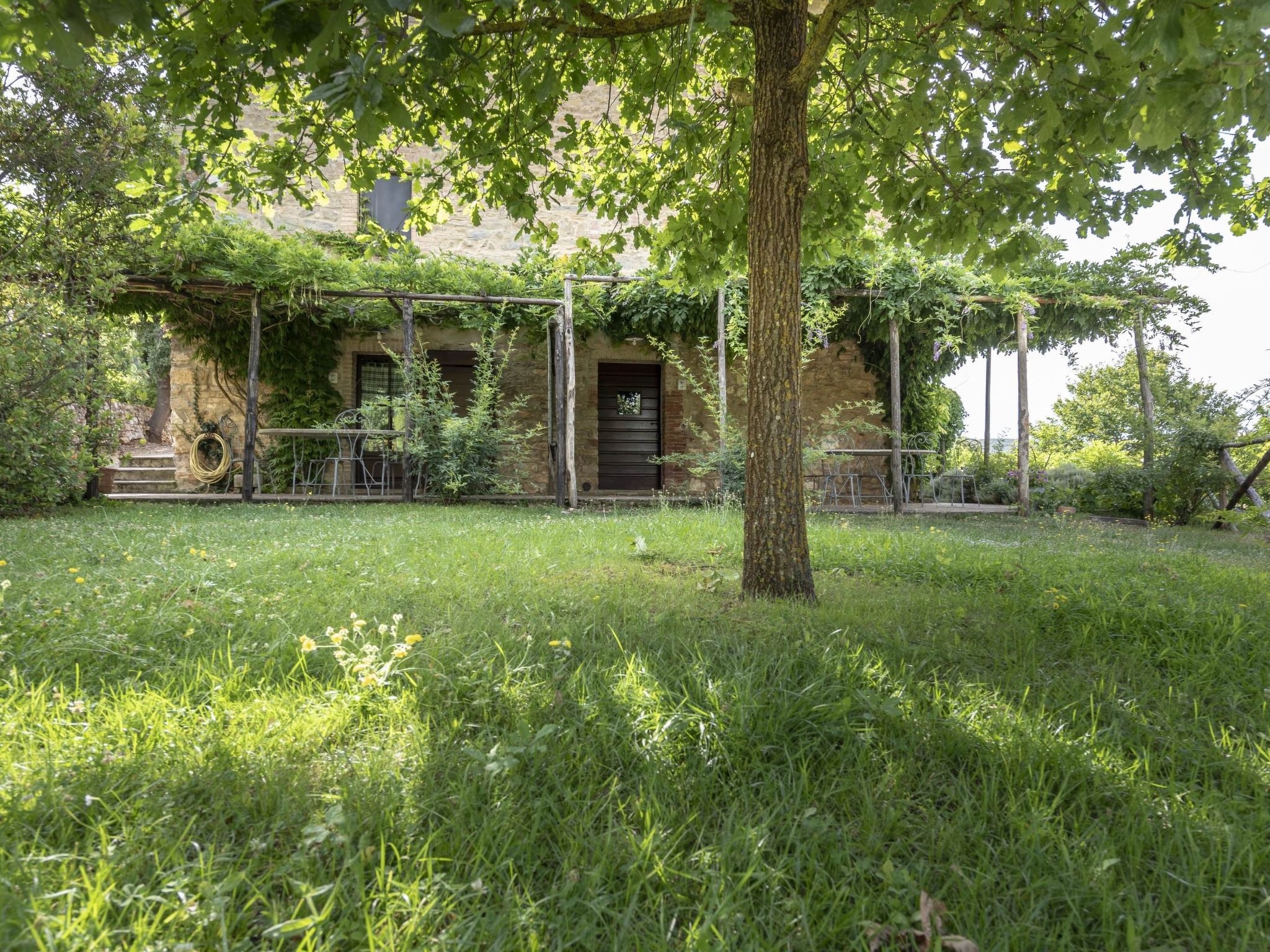 Photo of Robin Mascie