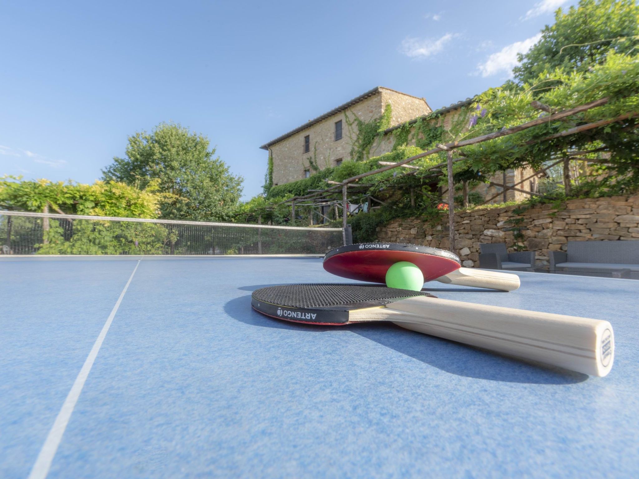 Photo of Robin Mascie