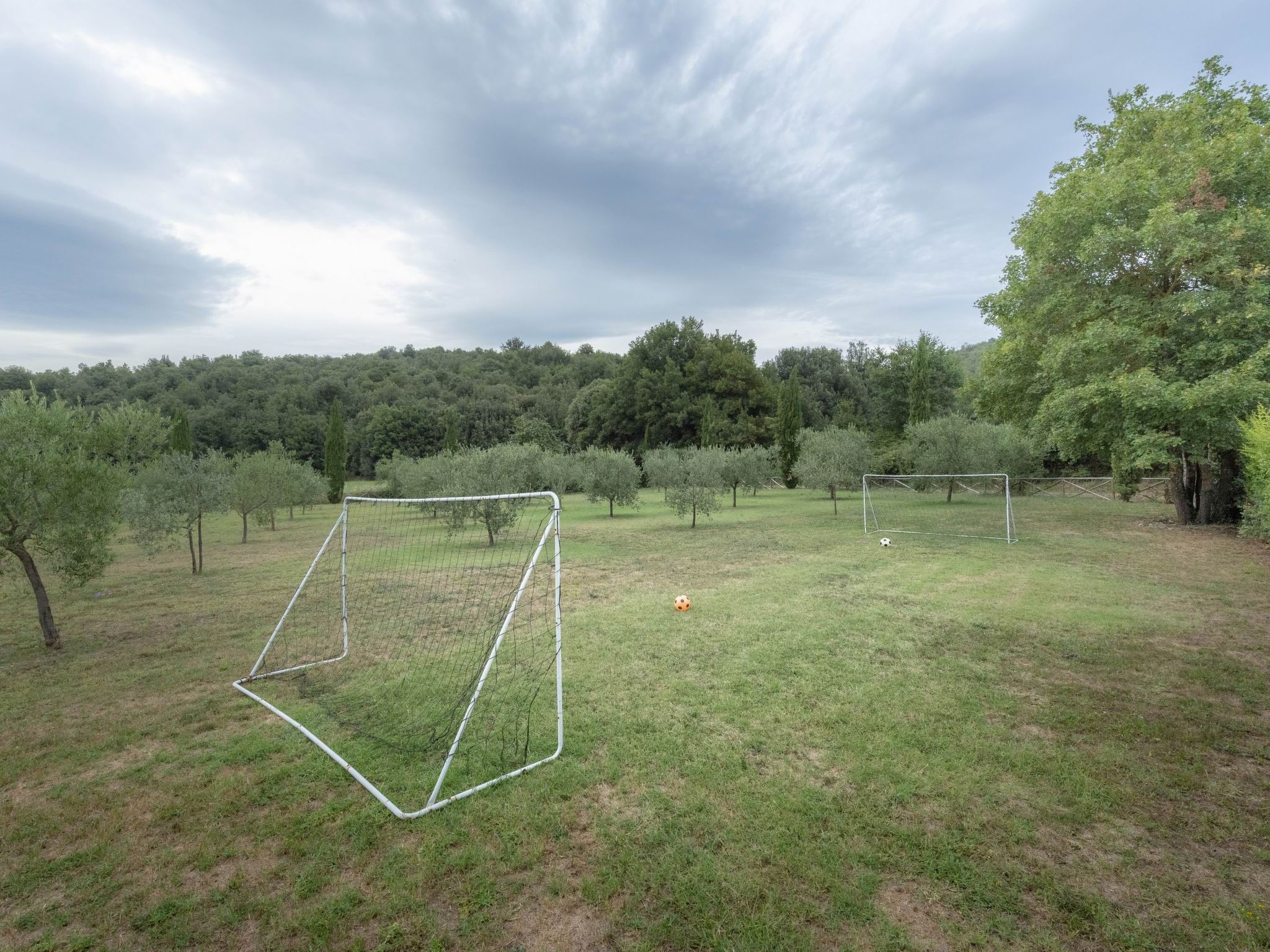 Photo of Robin Mascie