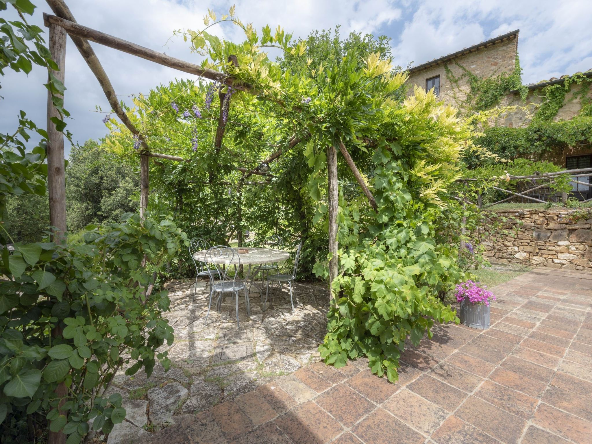 Maskendickkopf-Gimpel-Draußen