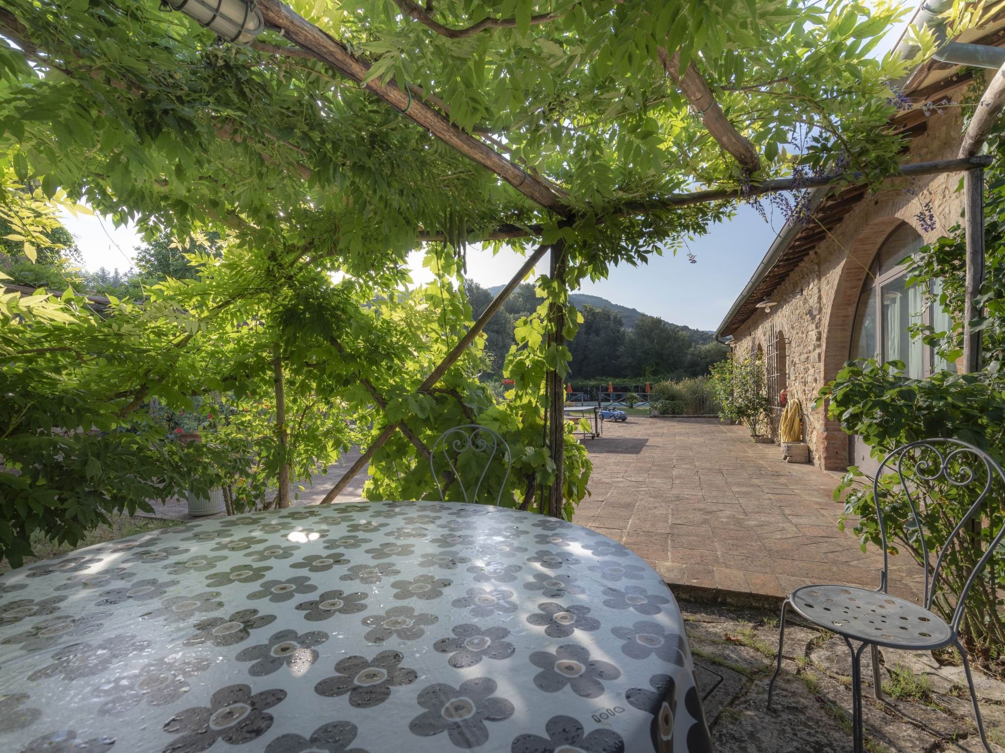 Maskendickkopf-Gimpel-Image-tags.info