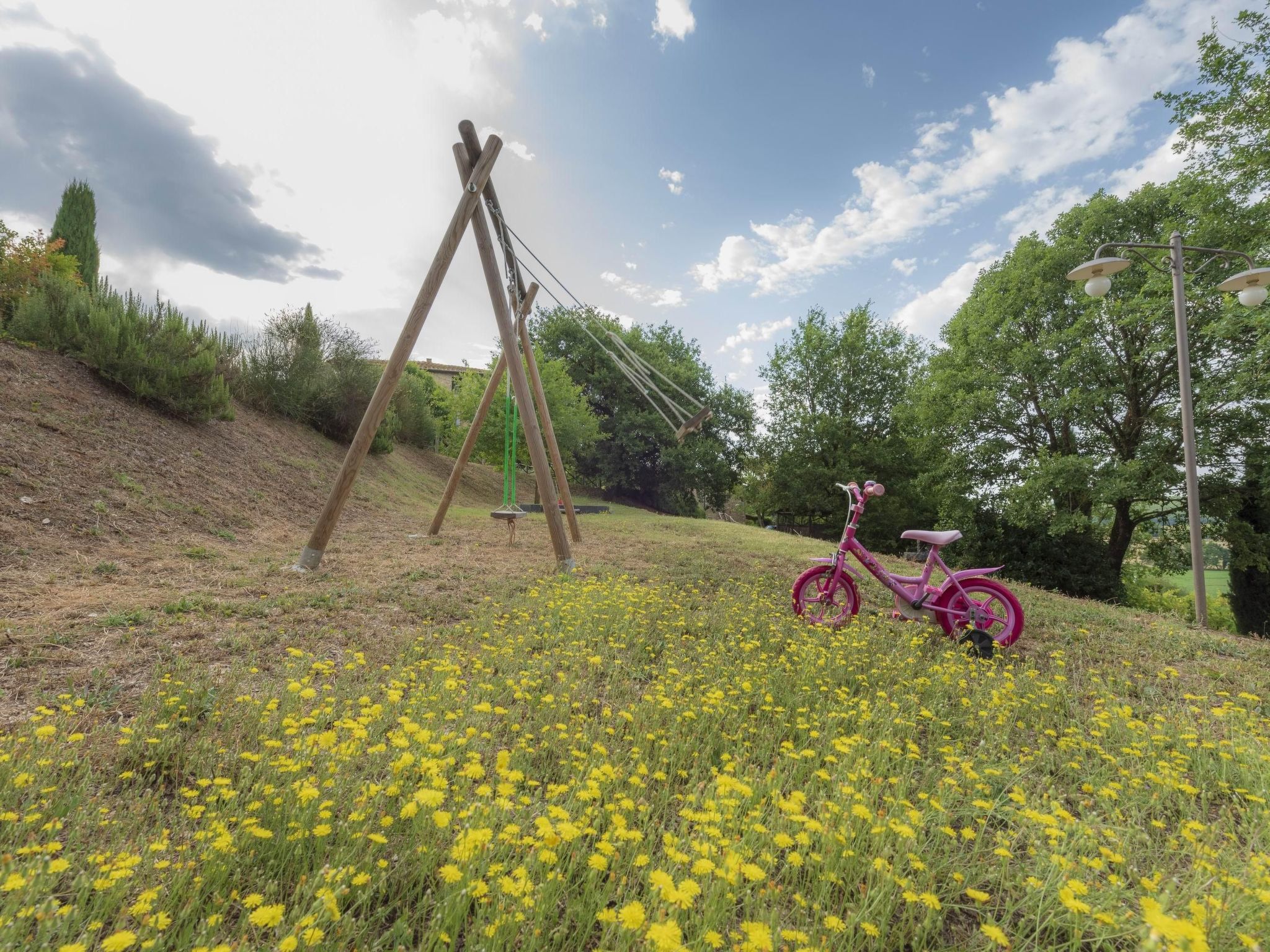 Photo of Maskendickkopf-Gimpel