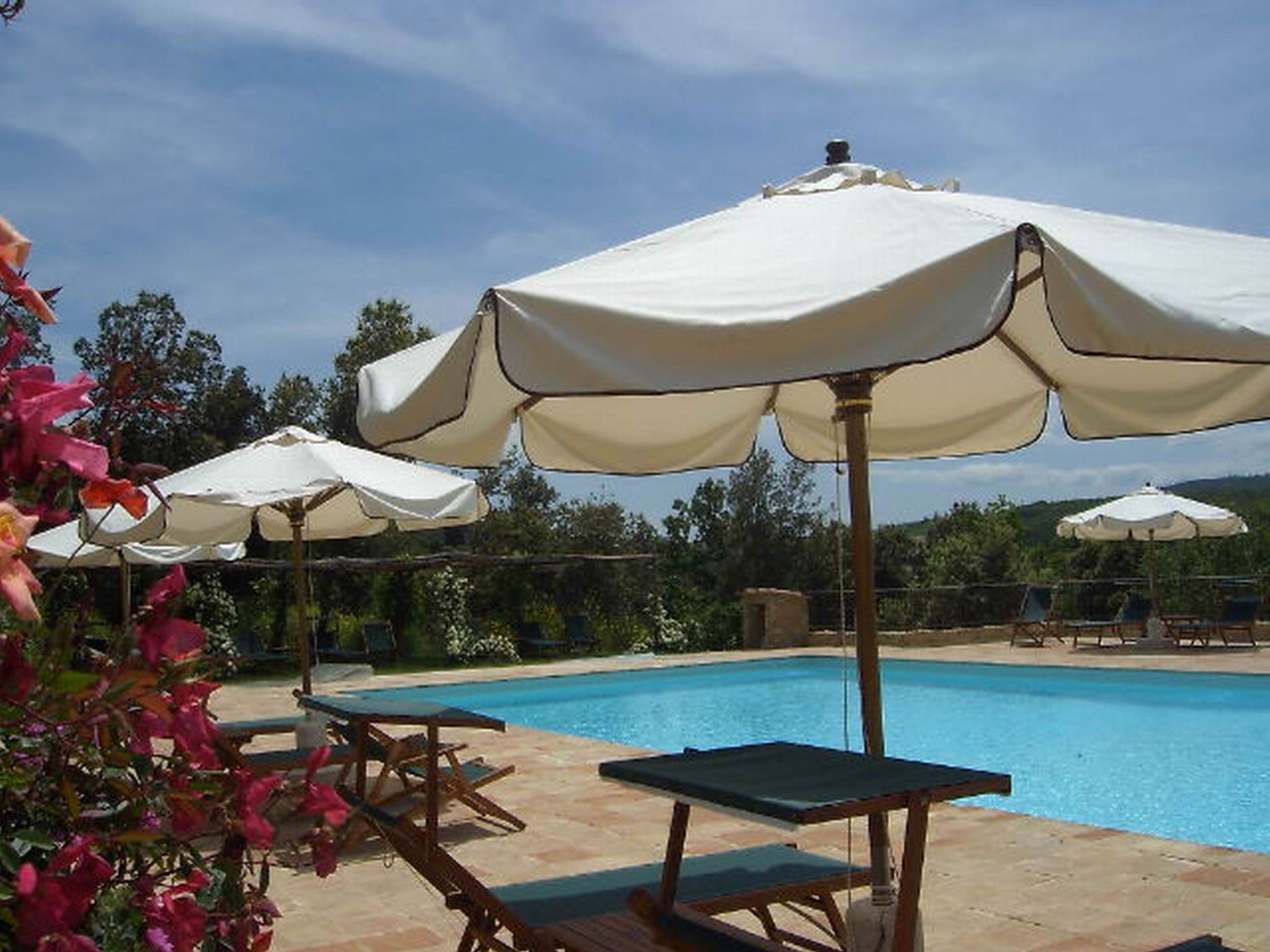 Photo of Buchfinkmaskie