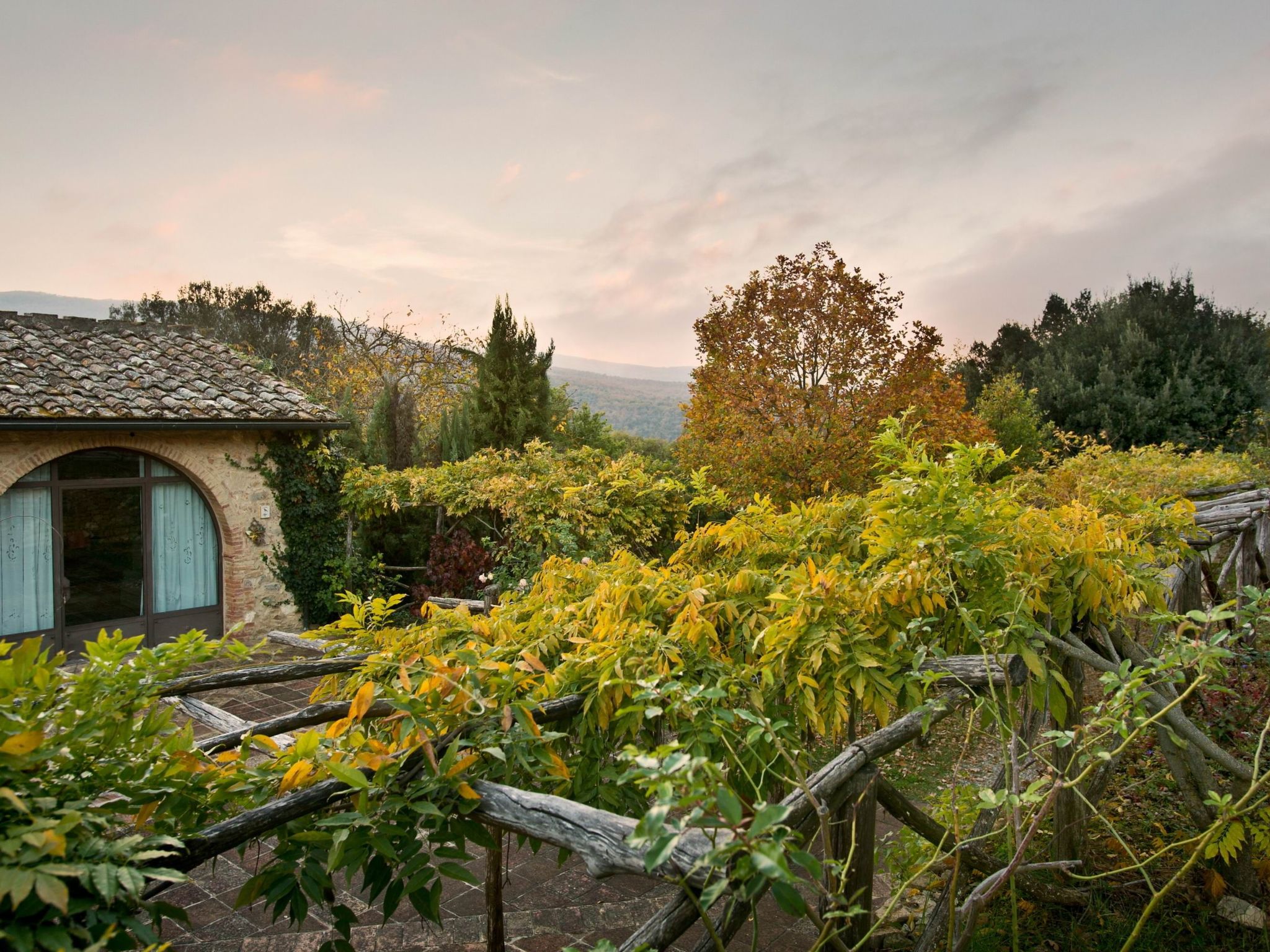 Photo of Buchfinkmaskie