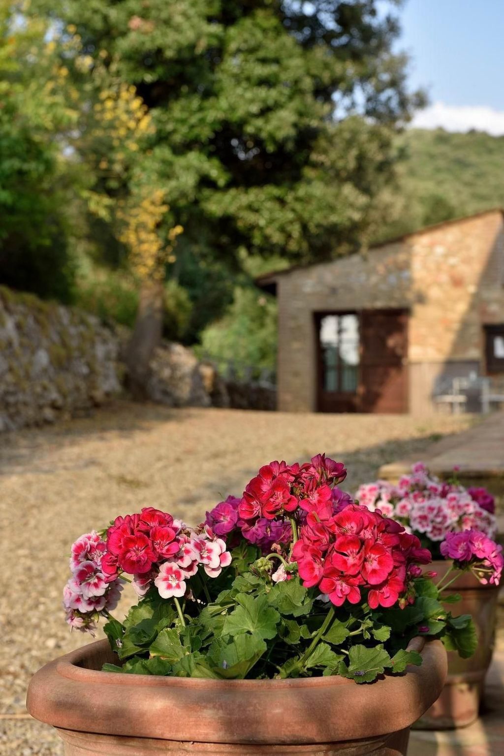 Photo of Wohnung 'Mascie rondini' mit Terrasse