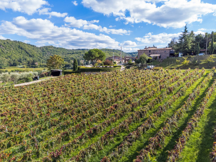 Photo of La Vigna