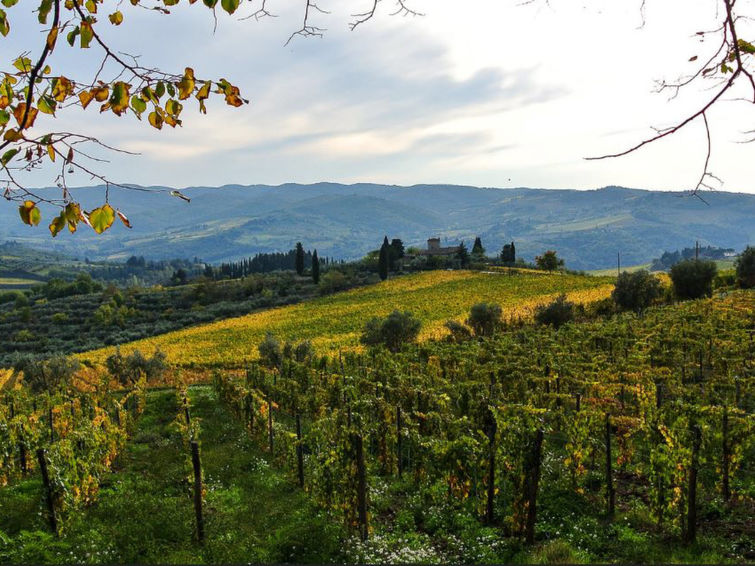 Ortensia Accommodation in Greve in Chianti