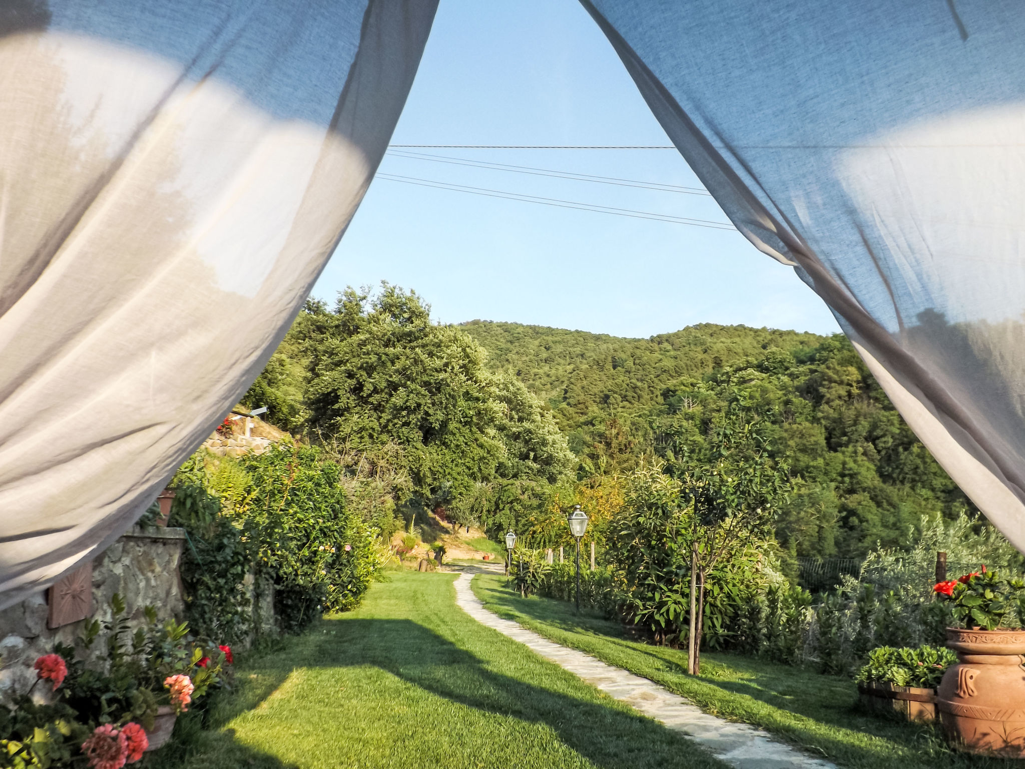 Photo of Il canto dei merli