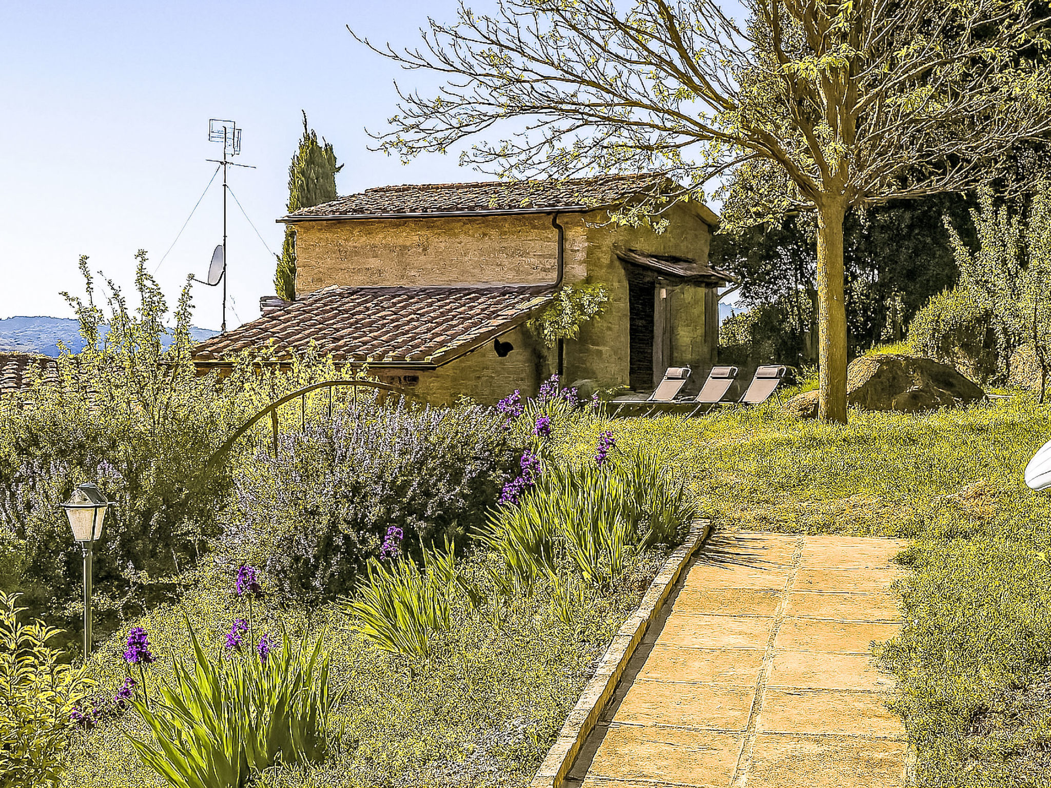 Photo of Il canto dei merli