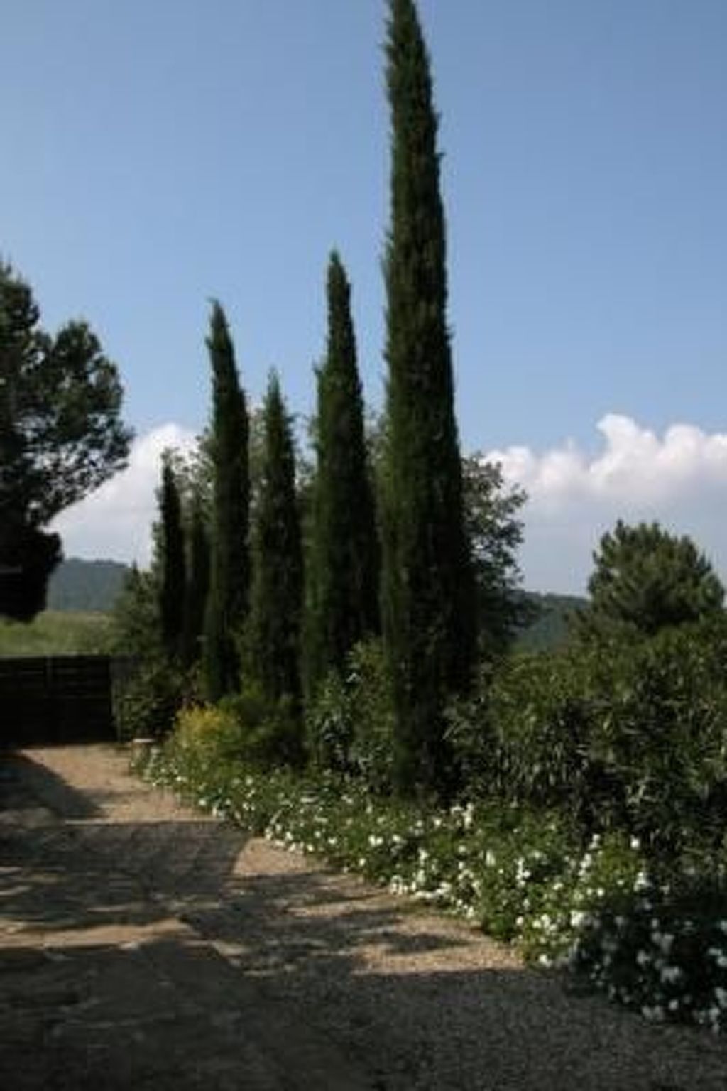 Photo of l'Alto grosses Haus