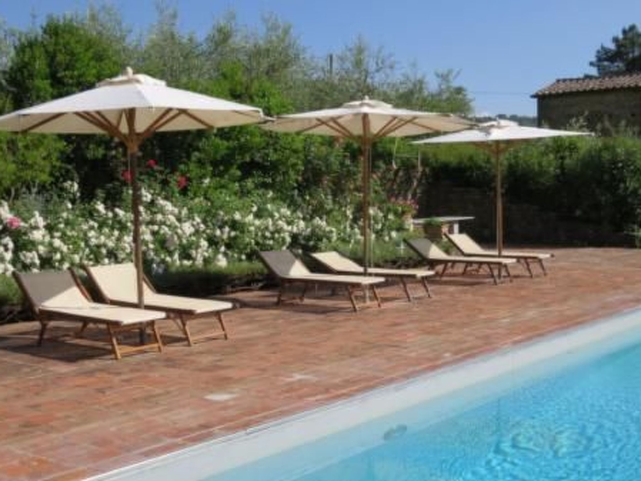 Photo of Podere Campolungo - Lo Studio