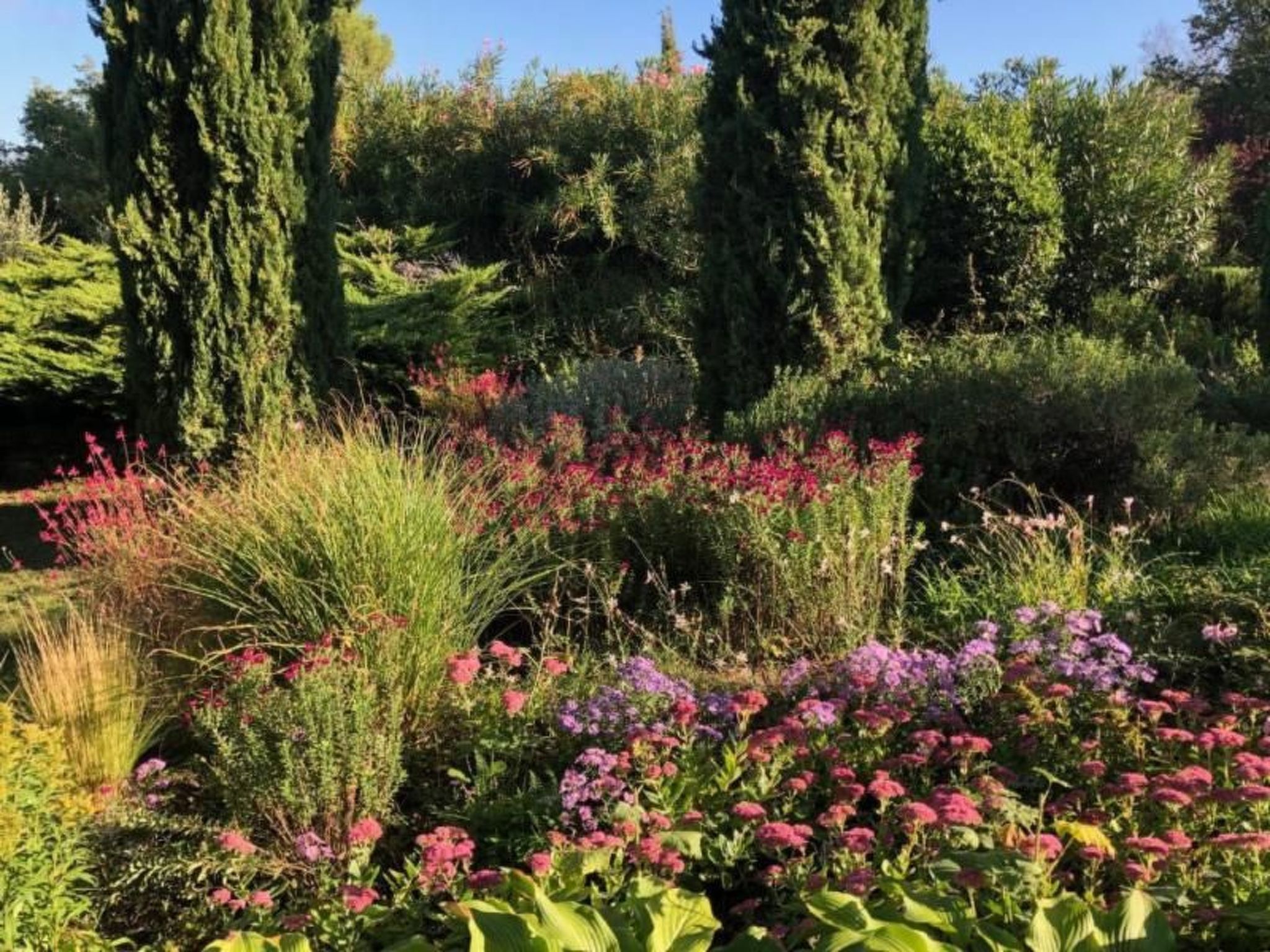 Photo of Podere Campolungo - Lo Studio