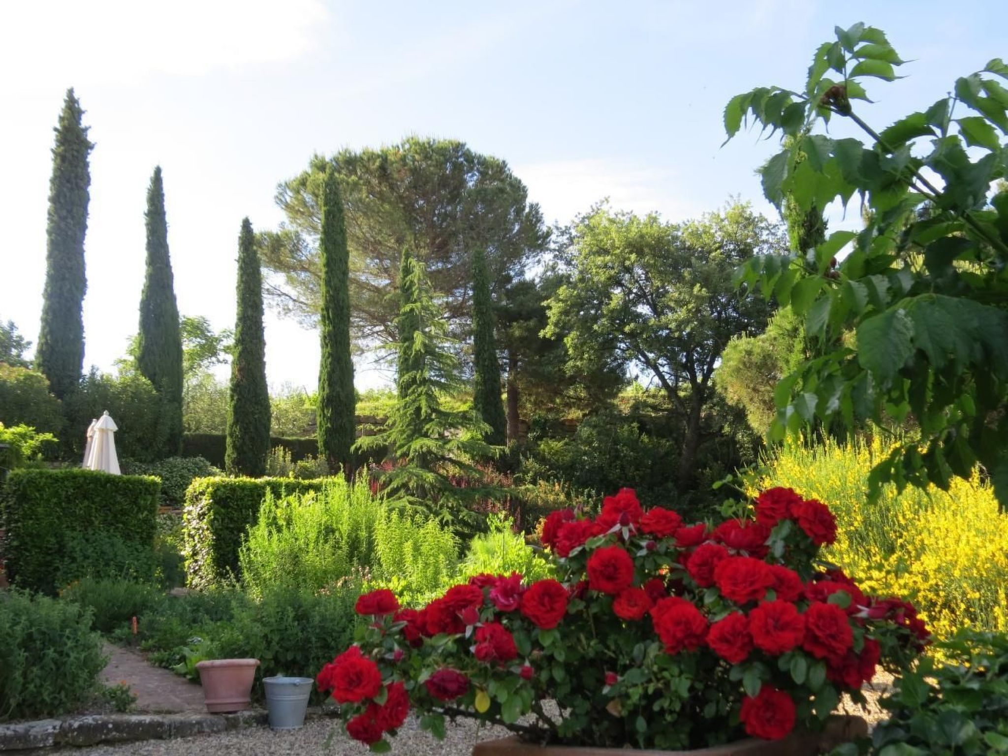 Photo of Podere Campolungo - Lo Studio