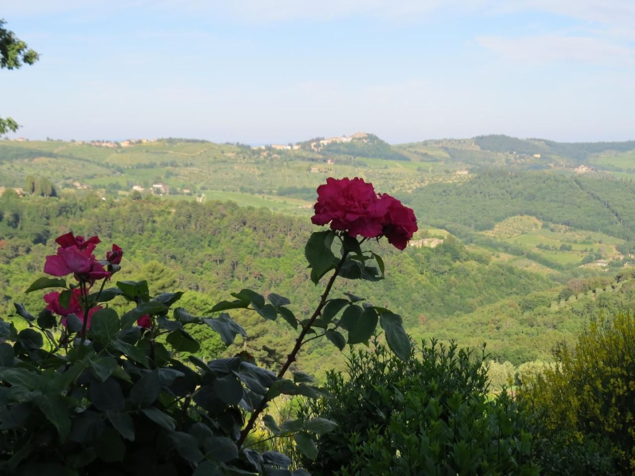 Photo of Podere Campolungo - Lo Studio