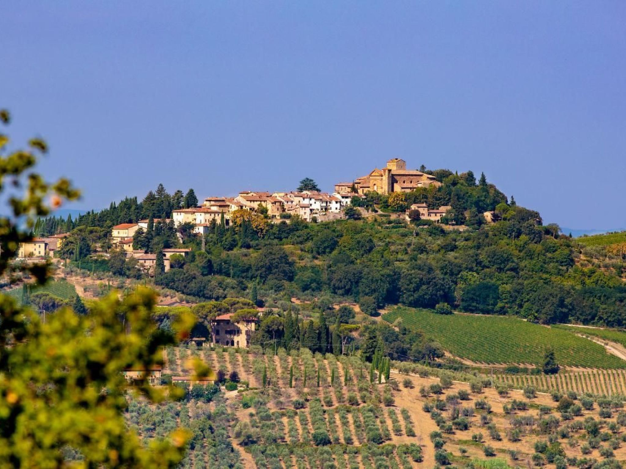 Photo of Podere Campolungo - Lo Studio