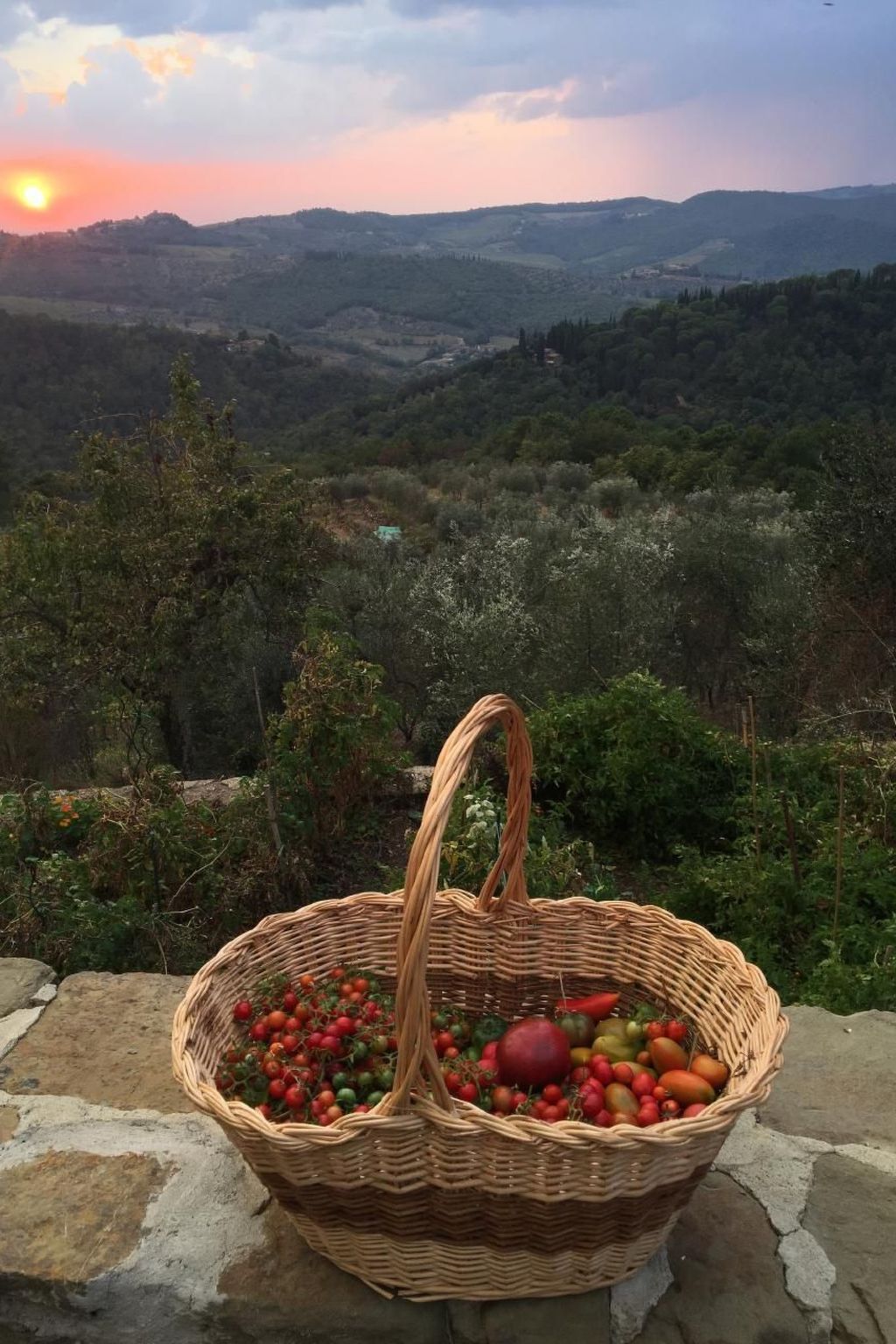 Photo of Podere Campolungo - Lo Studio