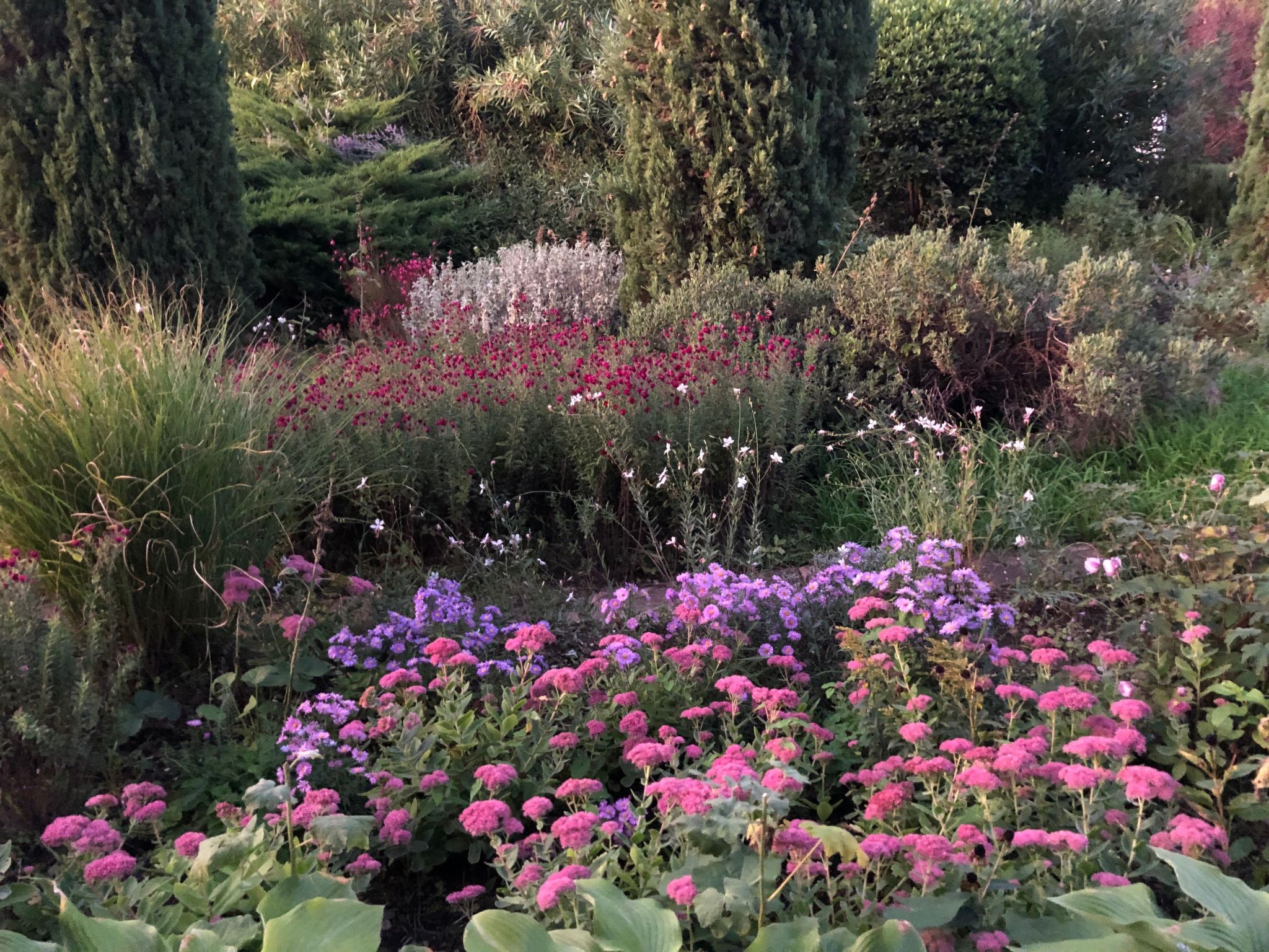 Photo of Podere Campolungo - Lo Studio