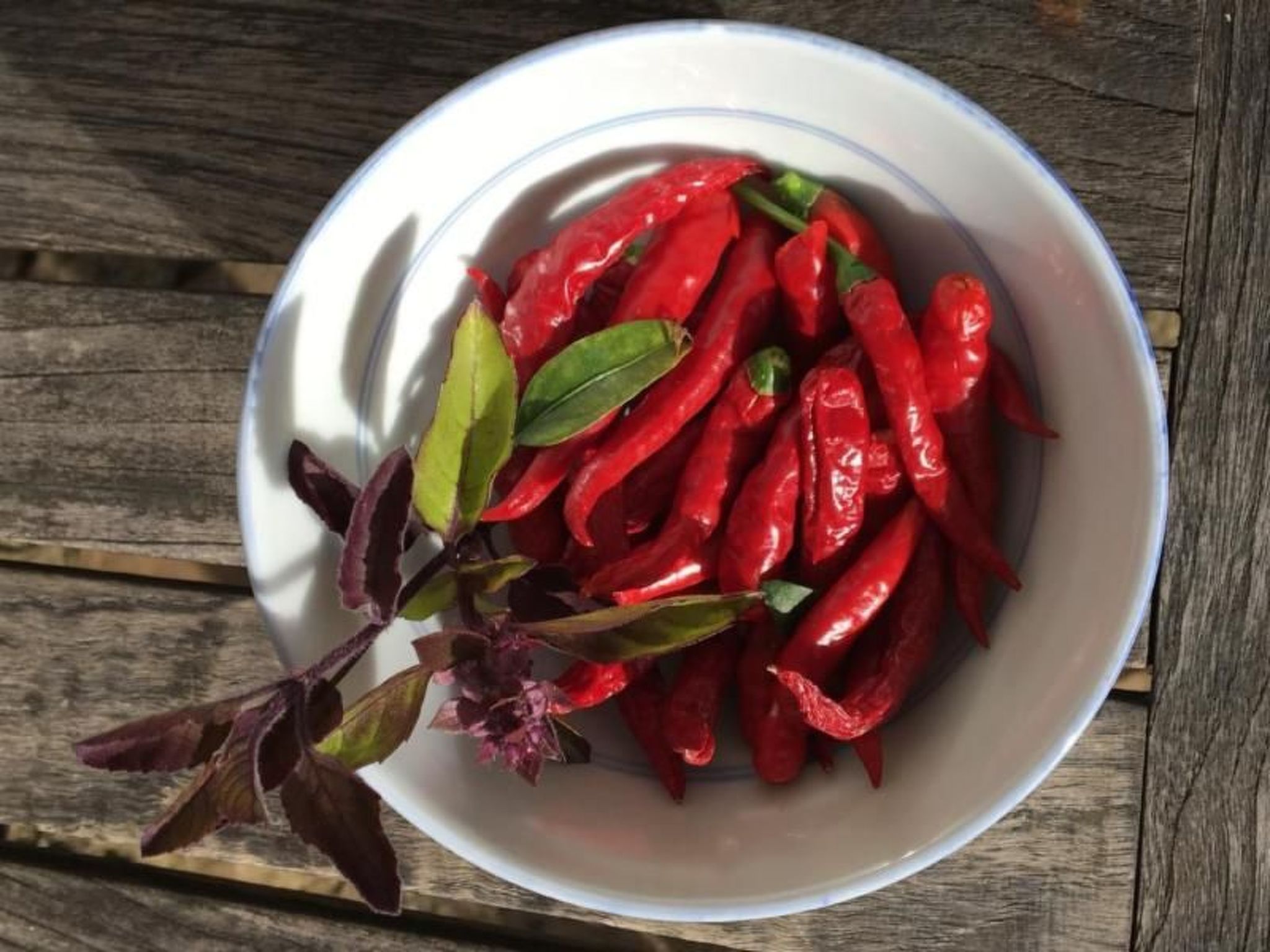 Photo of Campolungo, La Torre