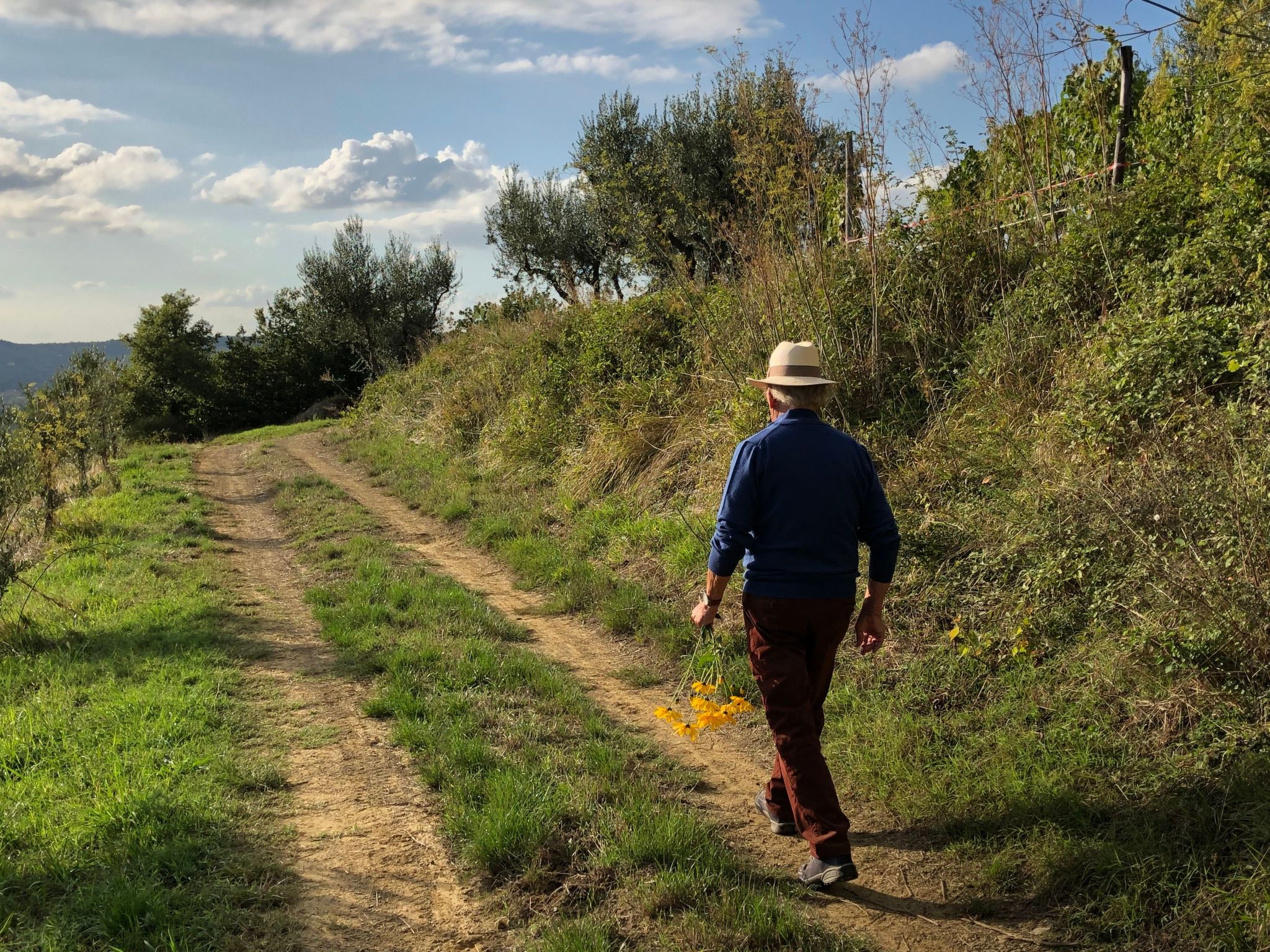 Photo of Campolungo, La Torre