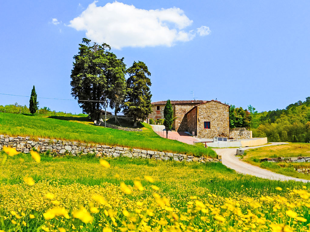 Ferienhaus Locazione turistica Selvapiana Bauernhof in Europa