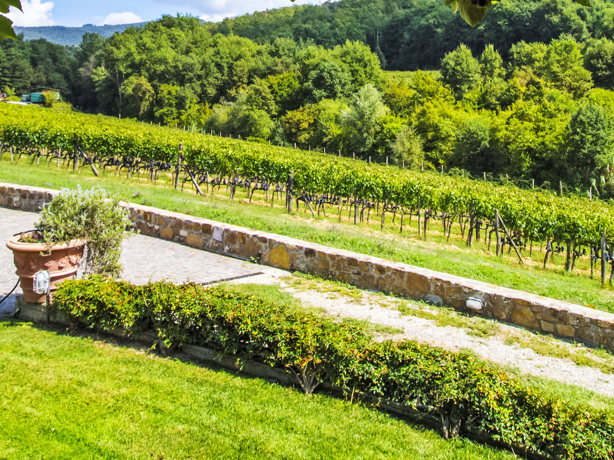 Photo of Locazione turistica Selvapiana