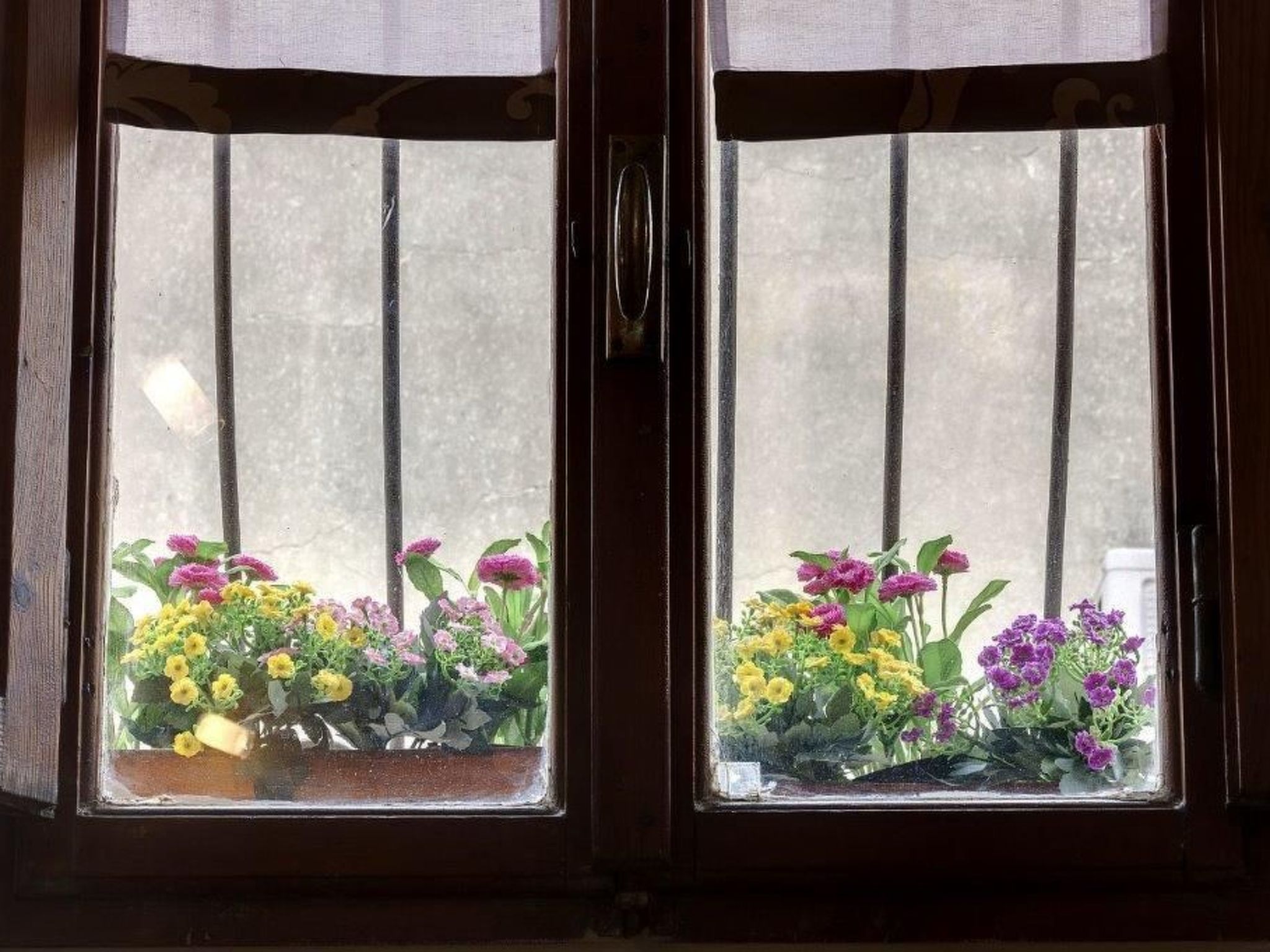 Photo of Schicke, moderne und geschmackvoll eingerichtete Ferienwohnung im beliebten Vie