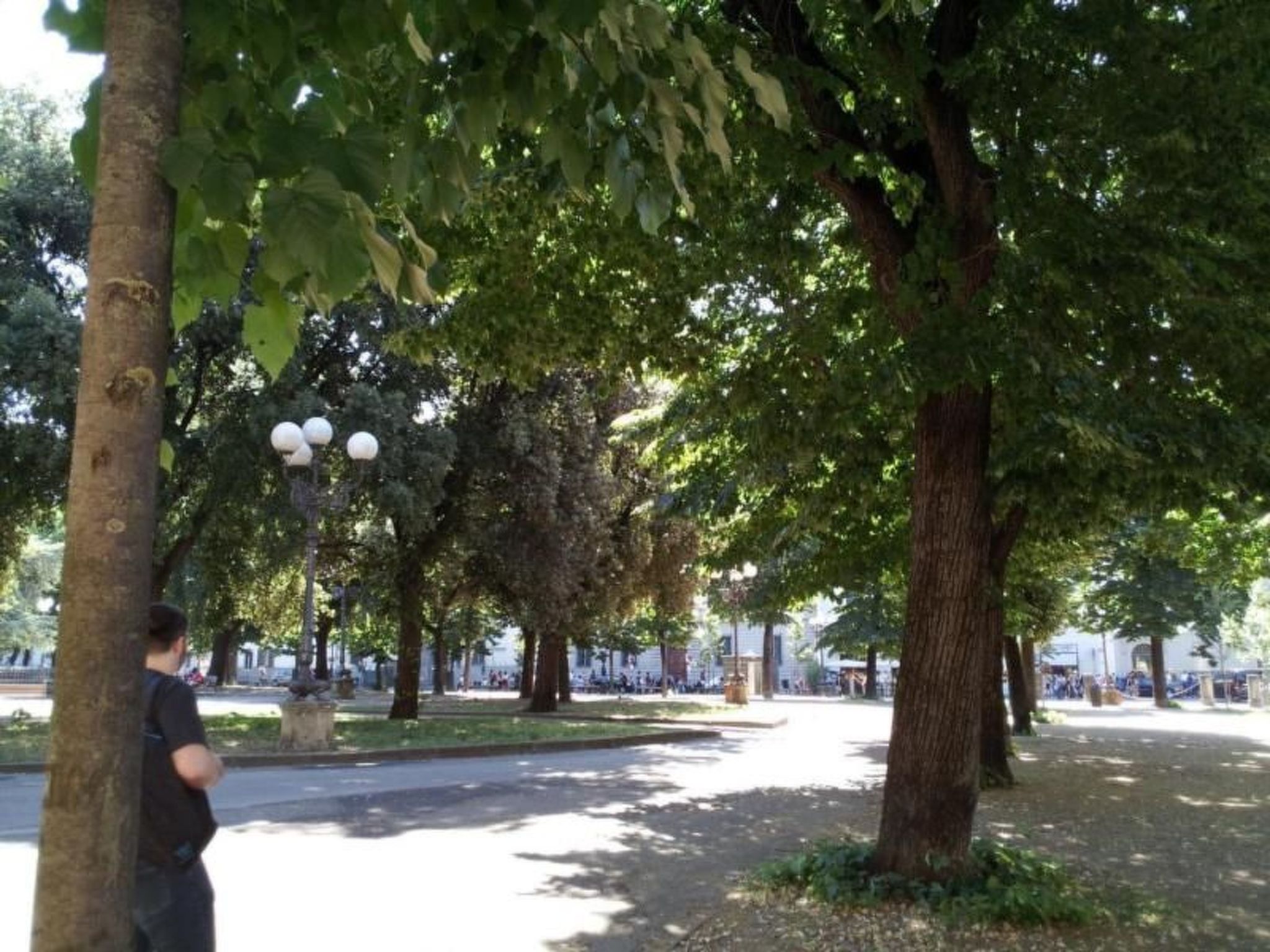 Photo of GUELFA HOUSE