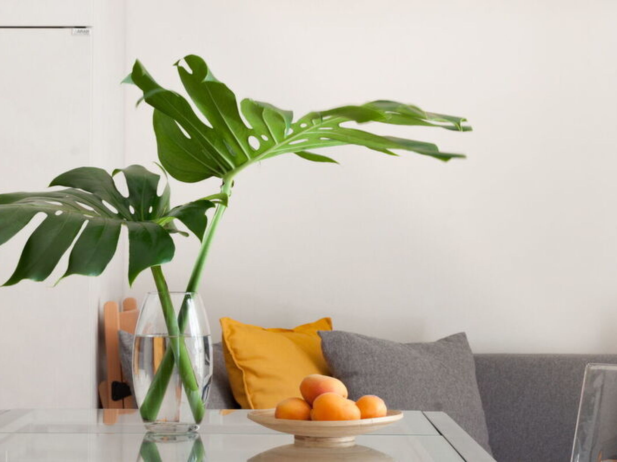 Photo of Lungarno Suite Apartment