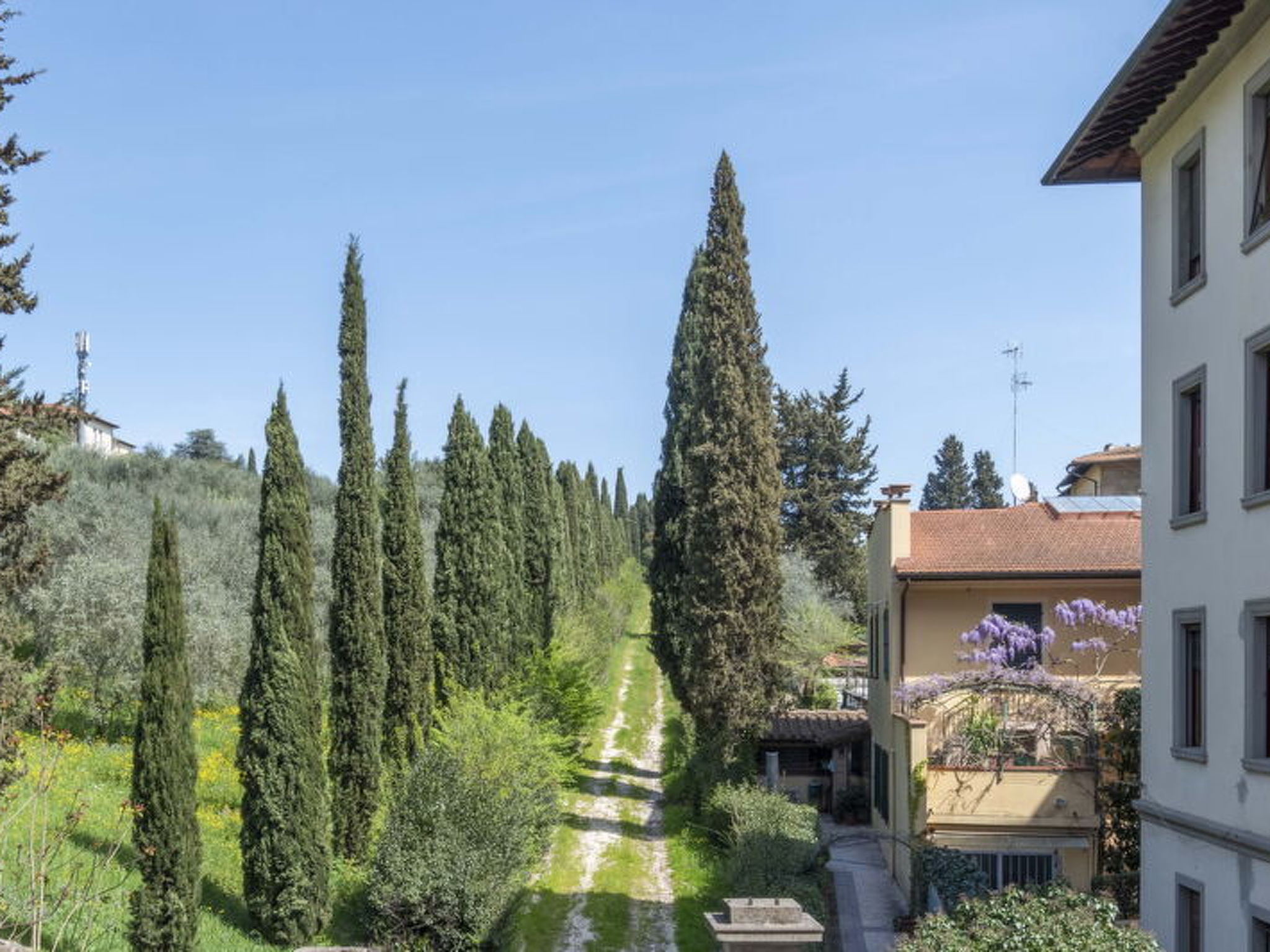 Photo of Green Suite Florence