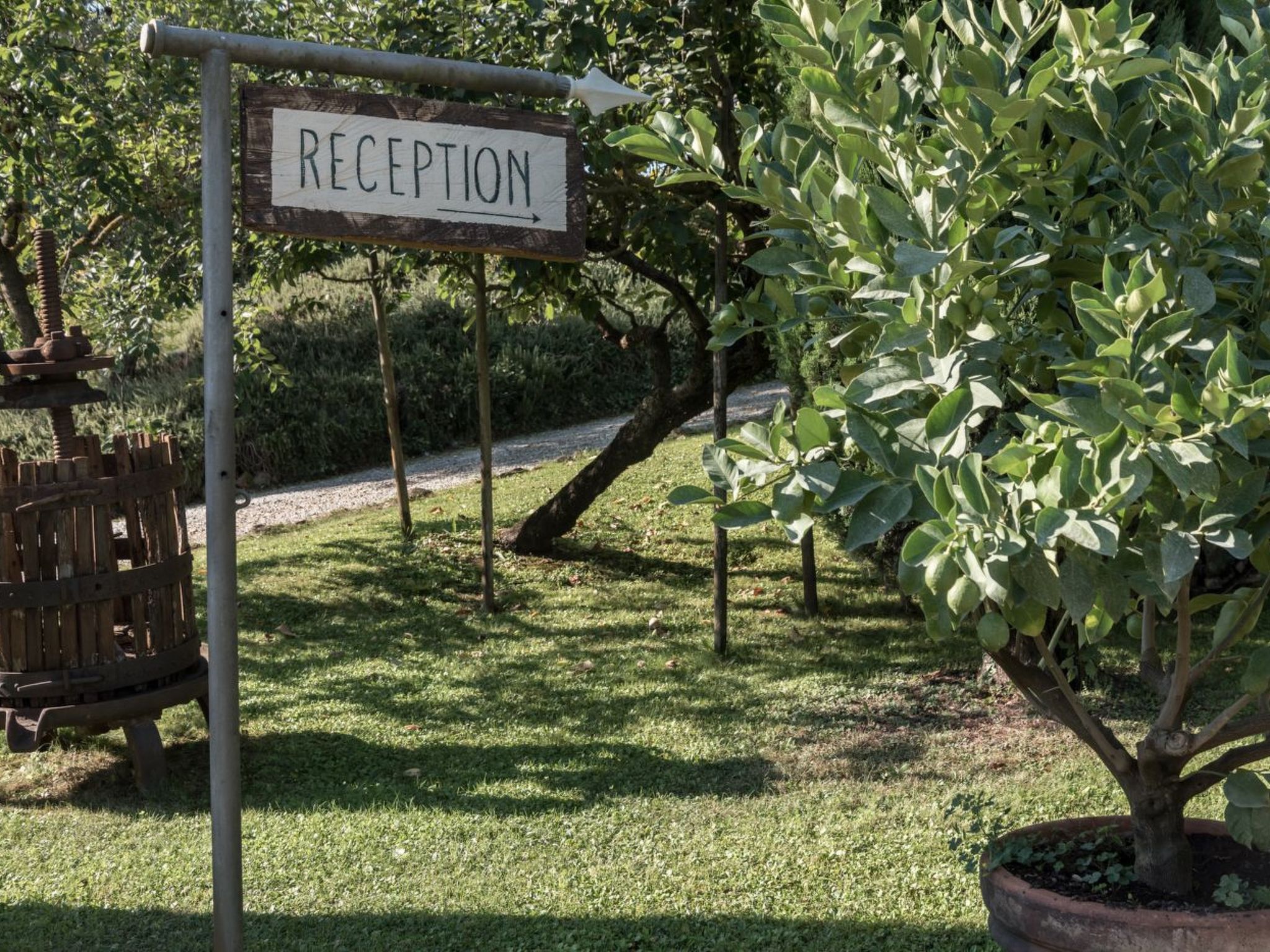 Wohnung Certaldo-Draußen