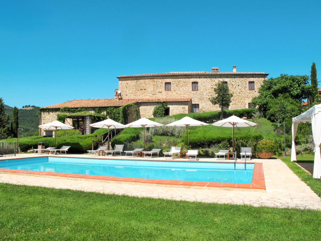 Piettorri - Violetta