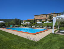 Piettorri - Violetta