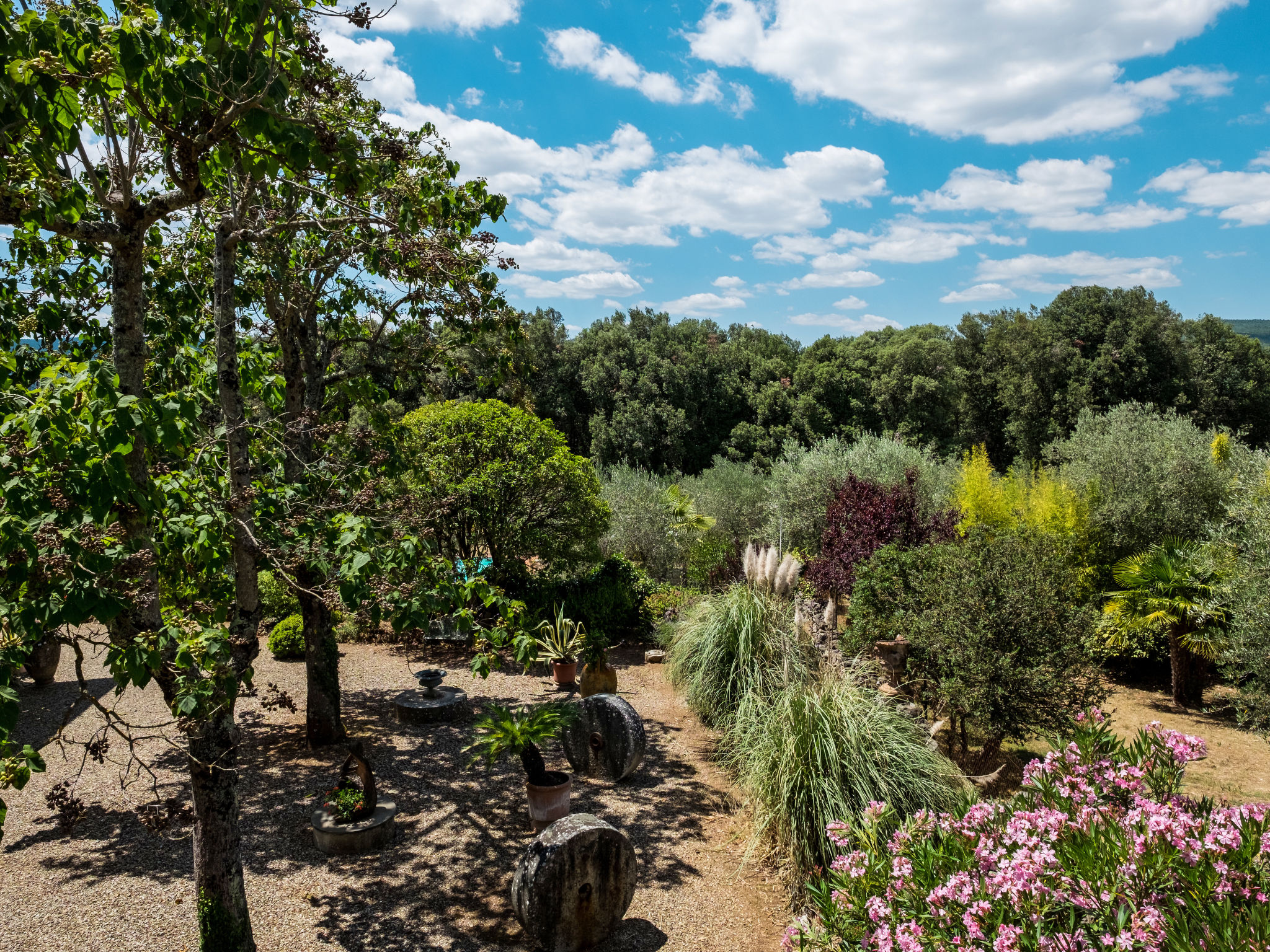 Photo of Il Boschetto