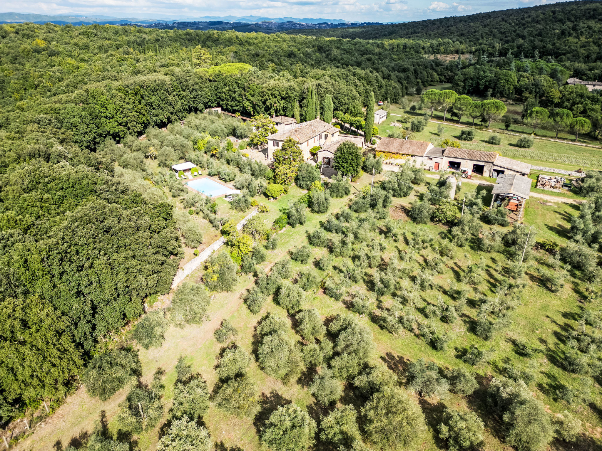 Photo of I CIpressi
