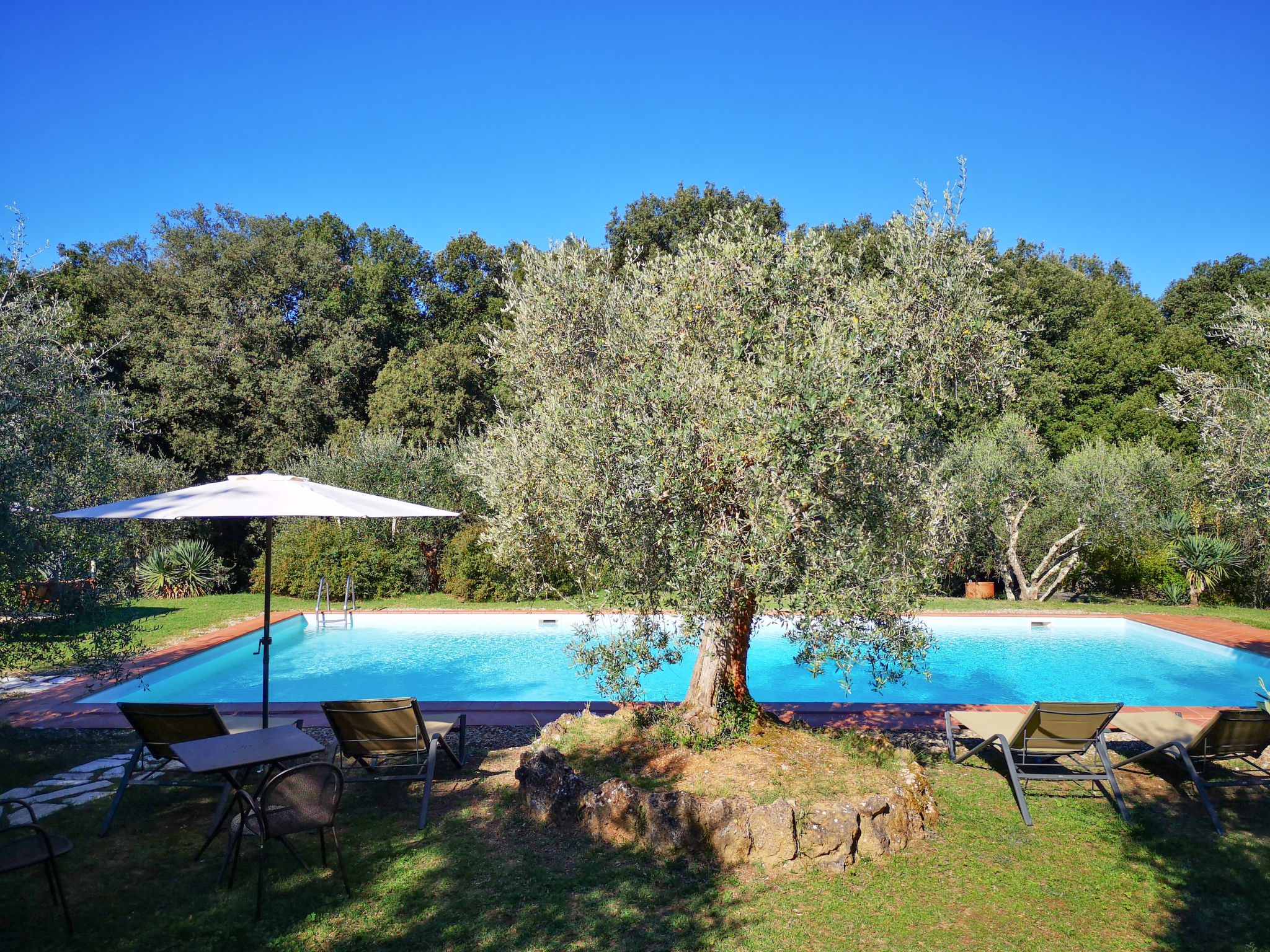Photo of I CIpressi
