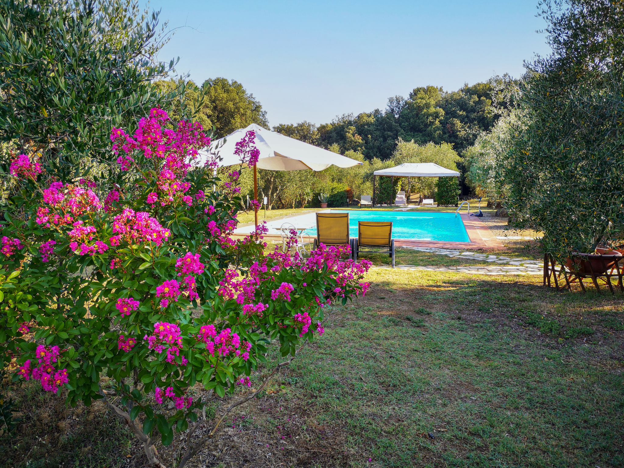 Photo of I CIpressi