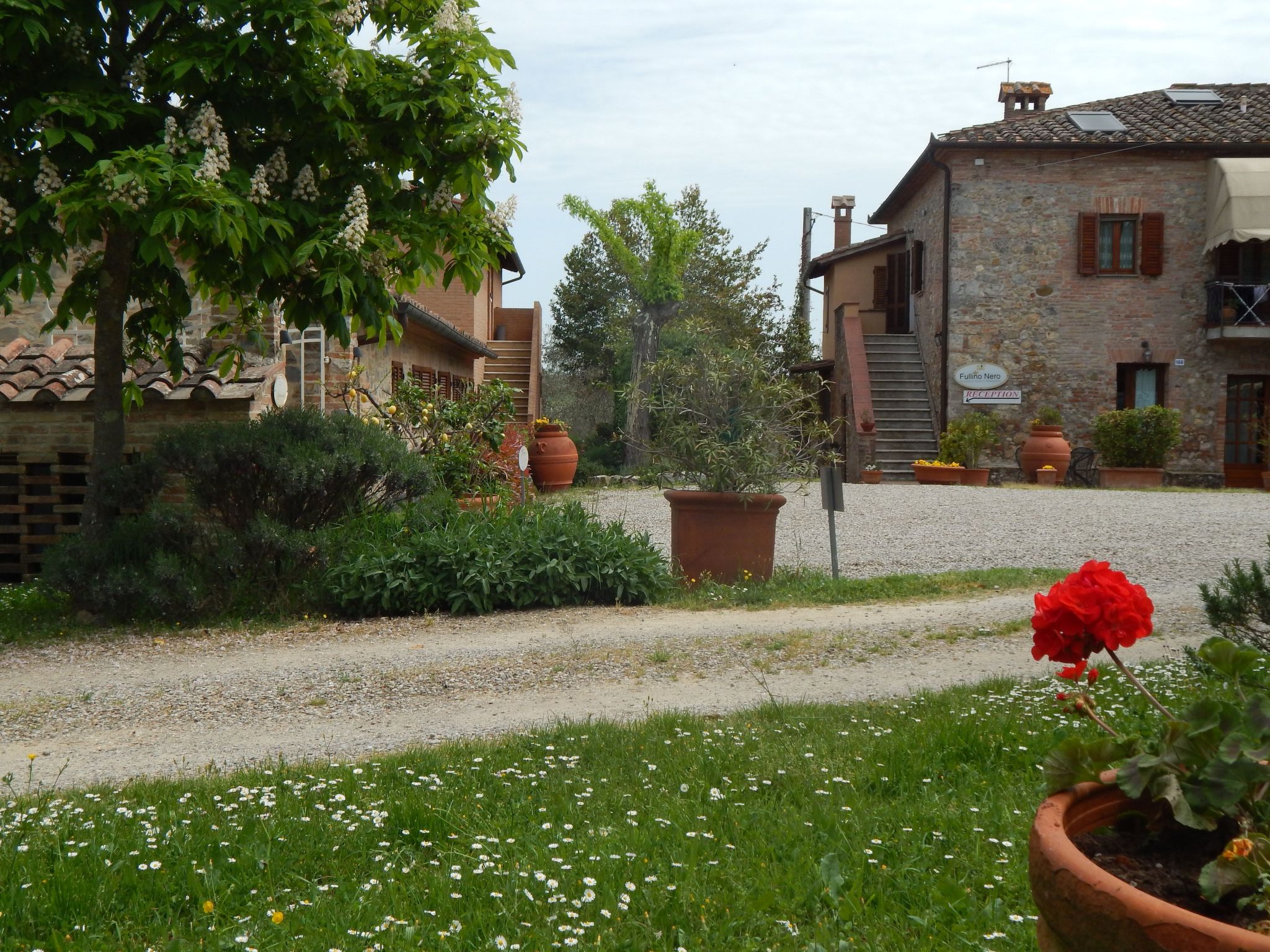 Für 3 Personen ca. 45 m&sup2; in Siena, Toskana-Buiten