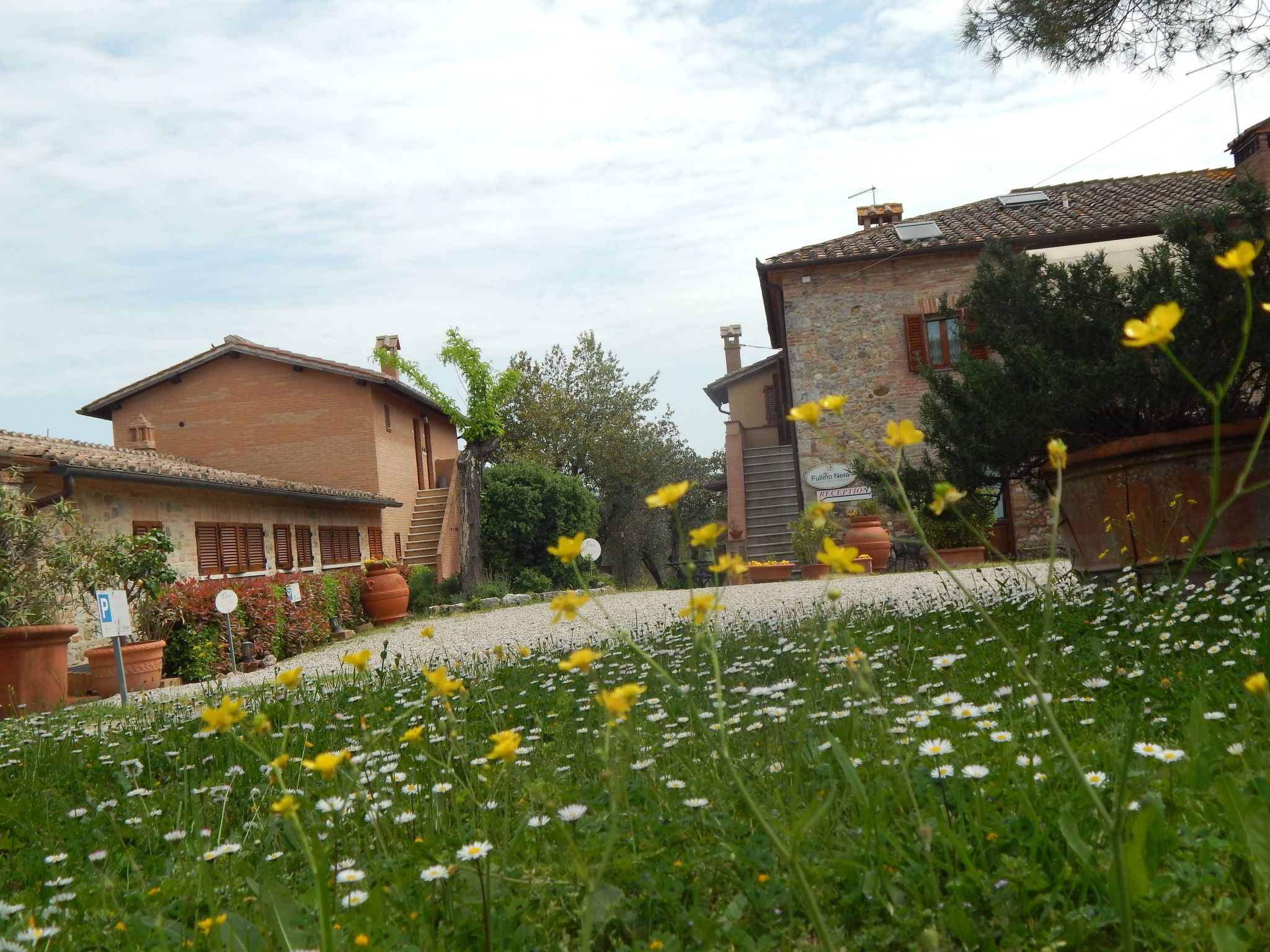 Für 3 Personen ca. 45 m&sup2; in Siena, Toskana-Buiten