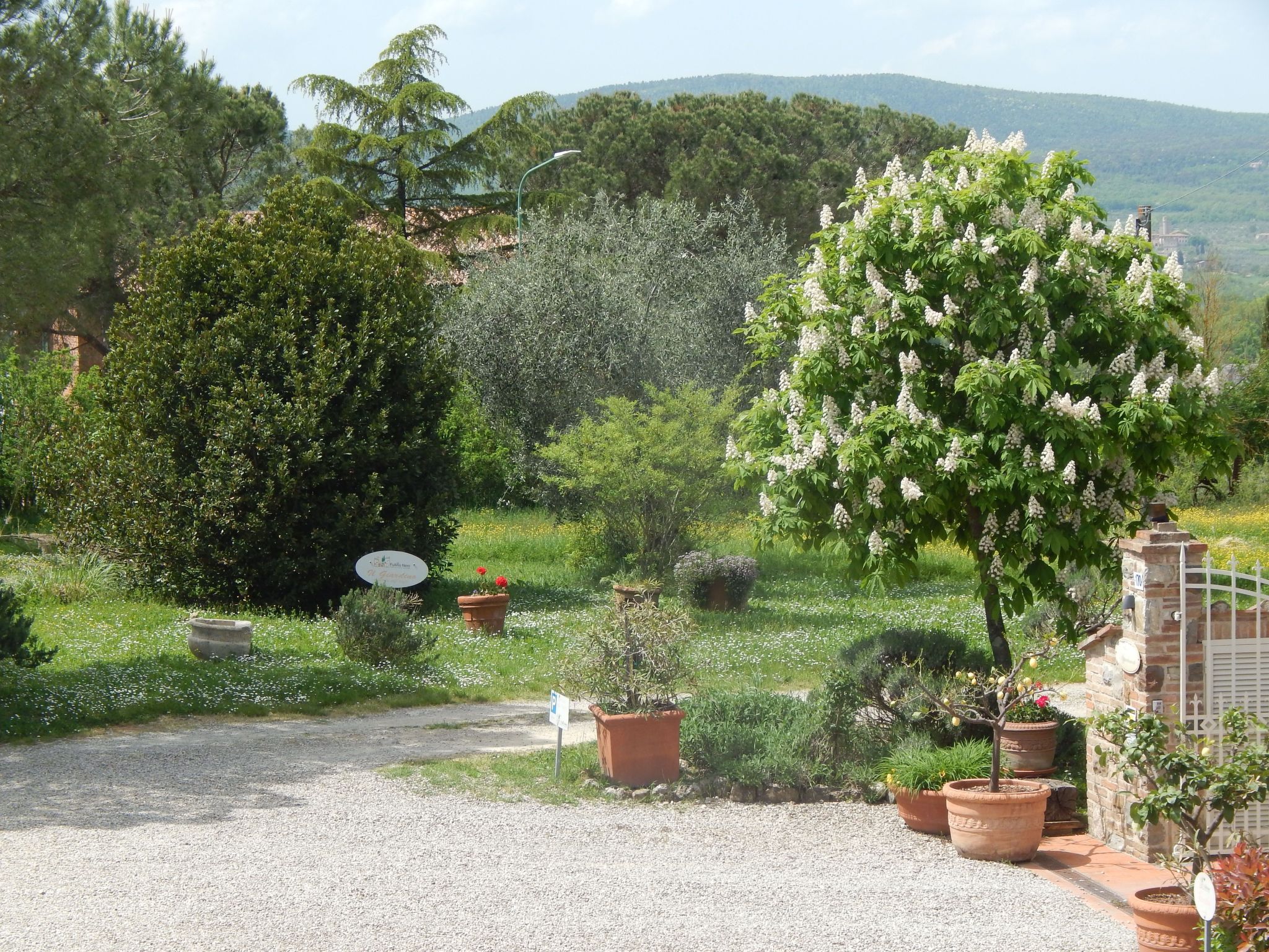 Für 3 Personen ca. 45 m&sup2; in Siena, Toskana-Buiten