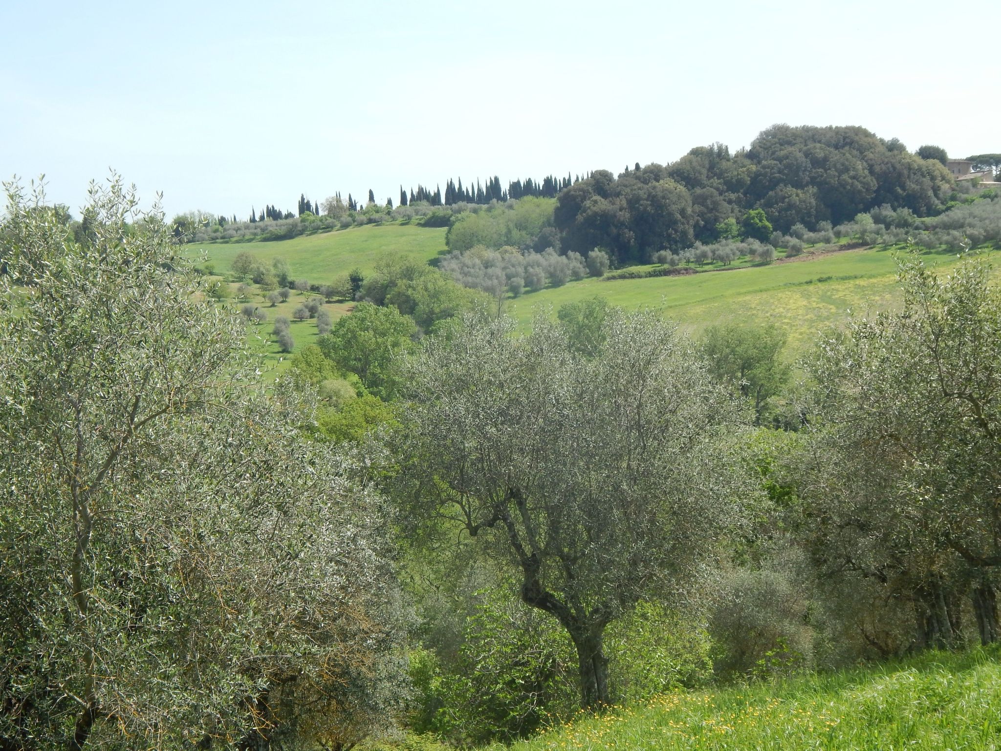 Photo of Wohnung auf dem Lande, 3 km vom Zentrum von Siena entfernt