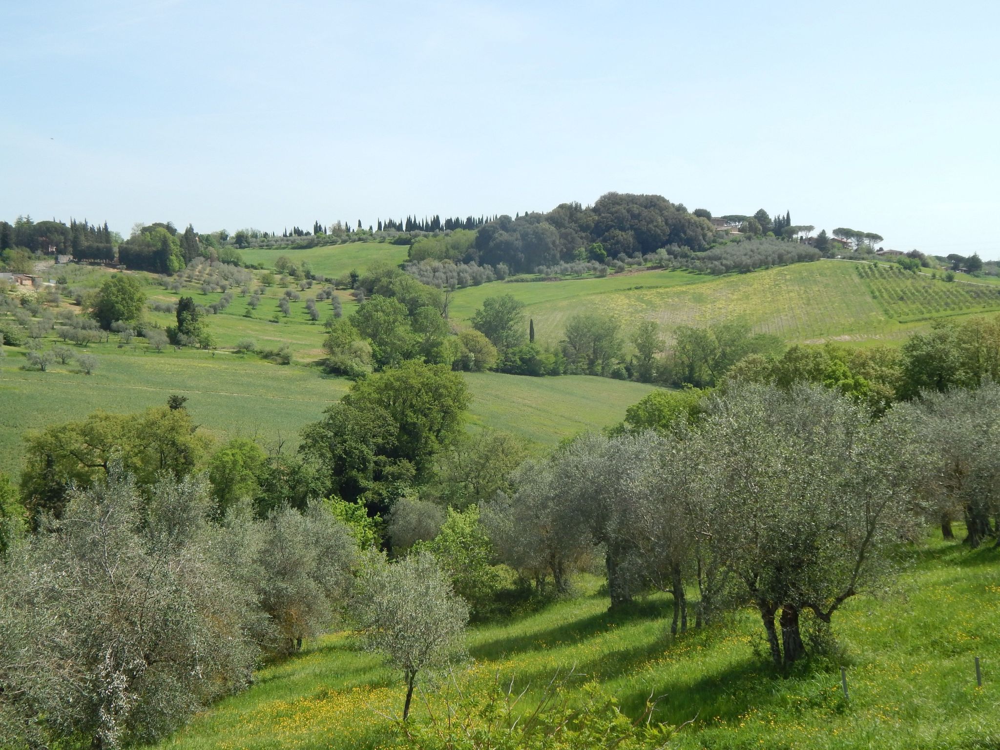 Photo of Wohnung auf dem Lande, 3 km vom Zentrum von Siena entfernt