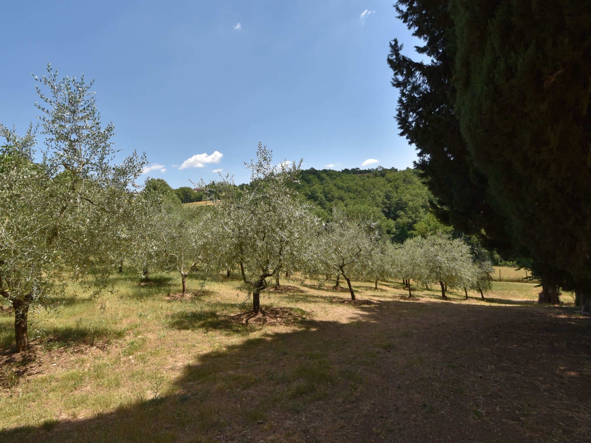 Photo of Wohnung in Bauernhaus mit großem Garten, Schwimmbad