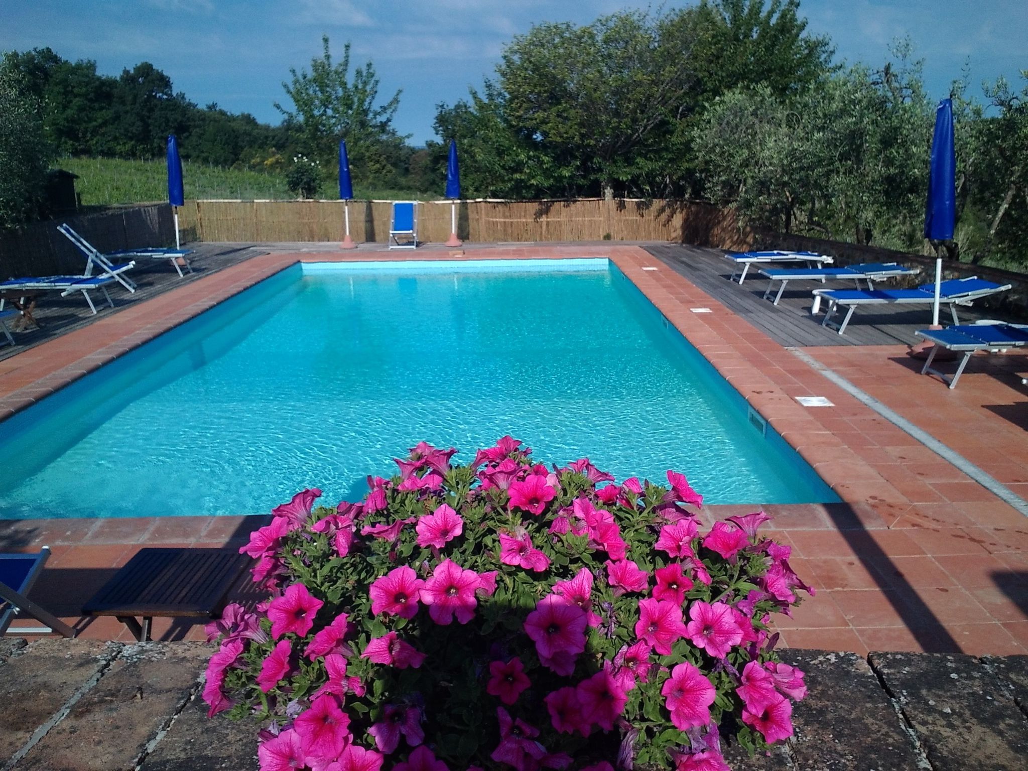 Photo of Wohnung Martius