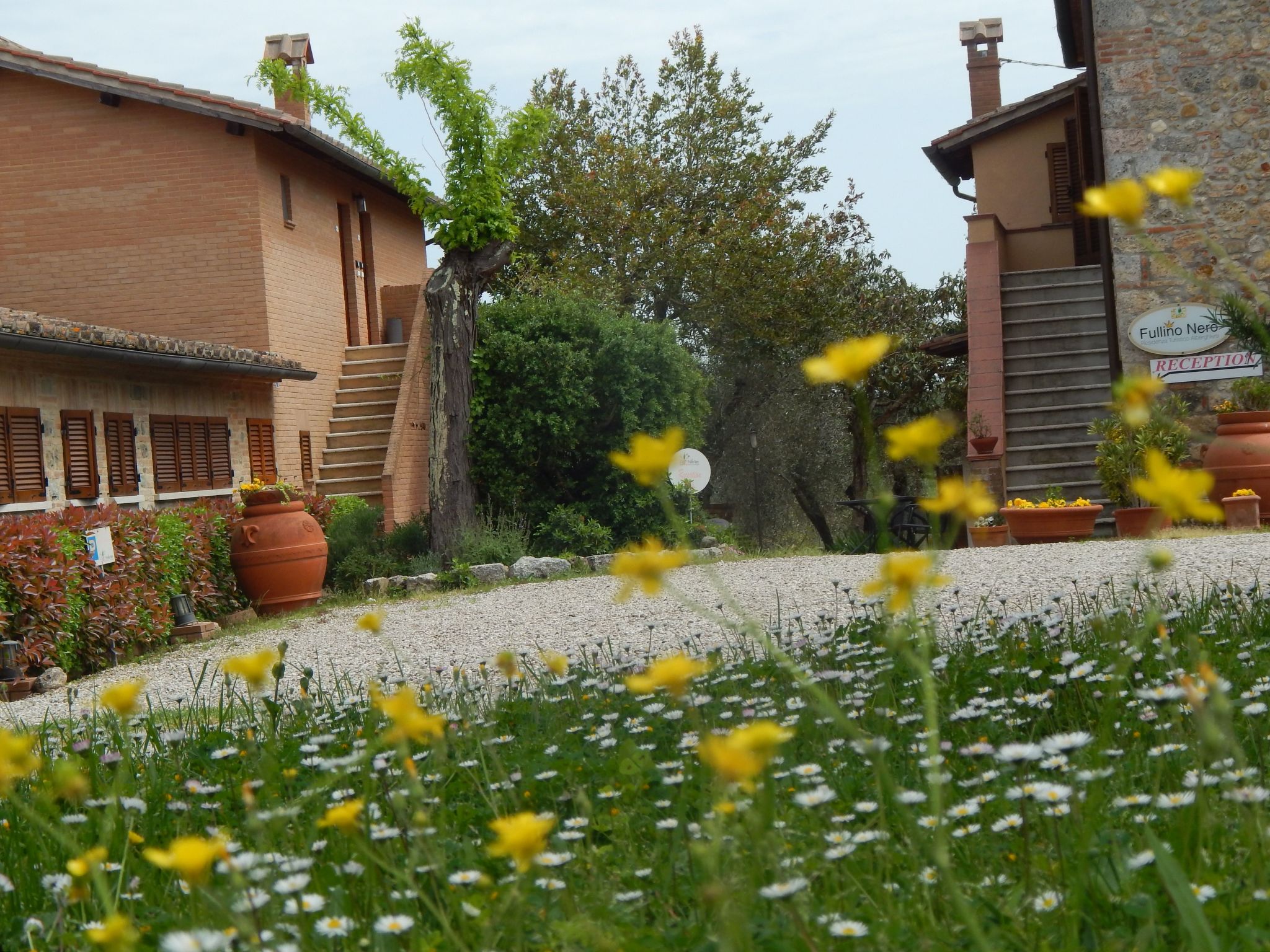 Photo of Wohnung auf dem Lande, 3 km vom Zentrum von Sien