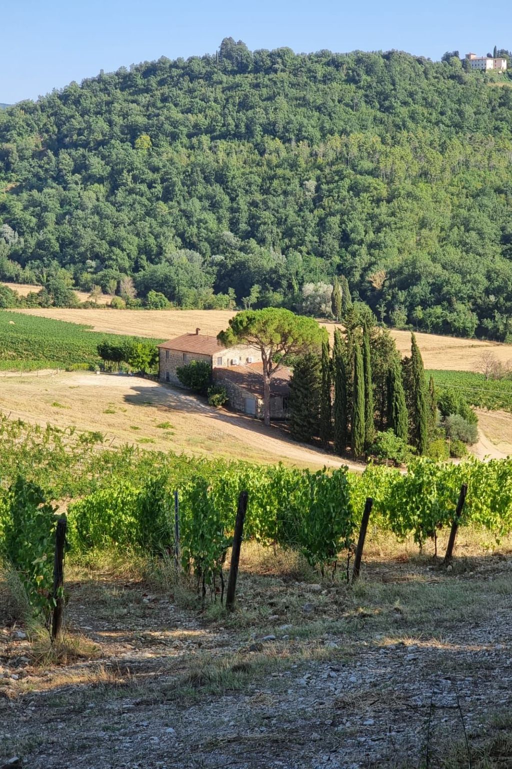 Acquapietra Villa Florenz mit Weinbergen und Pool-Image-tags.info